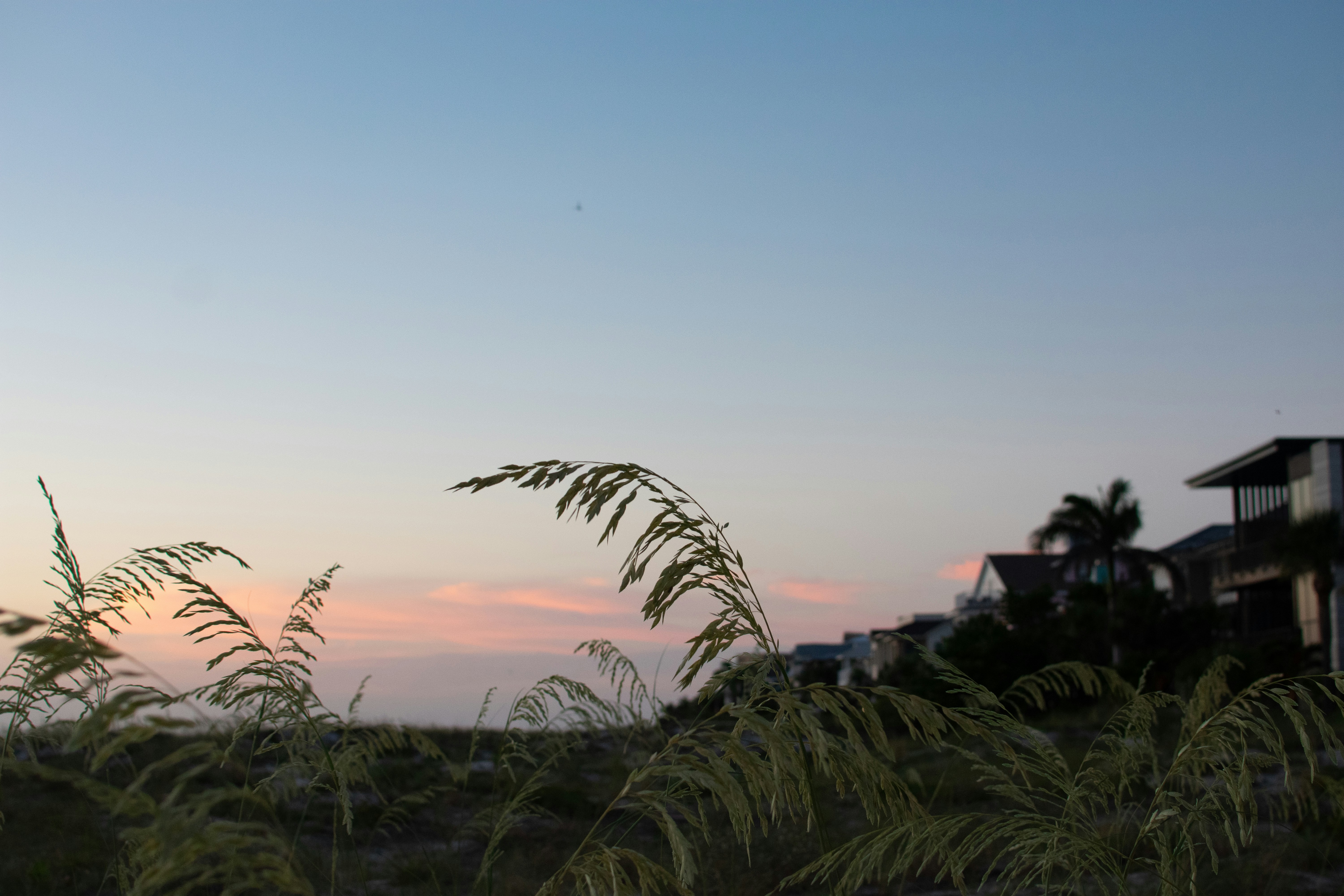 Photo by julianauribbe