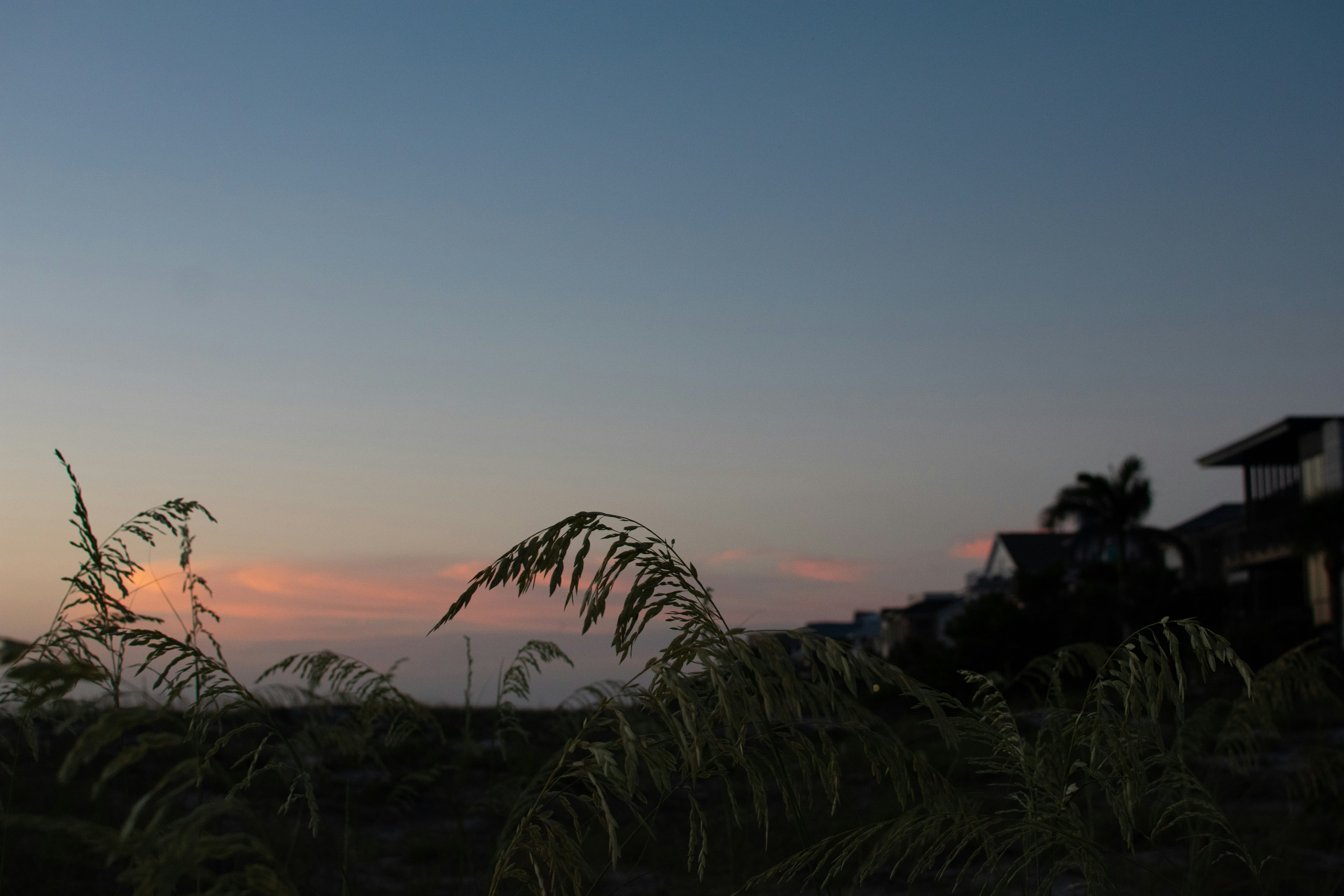 Photo by julianauribbe