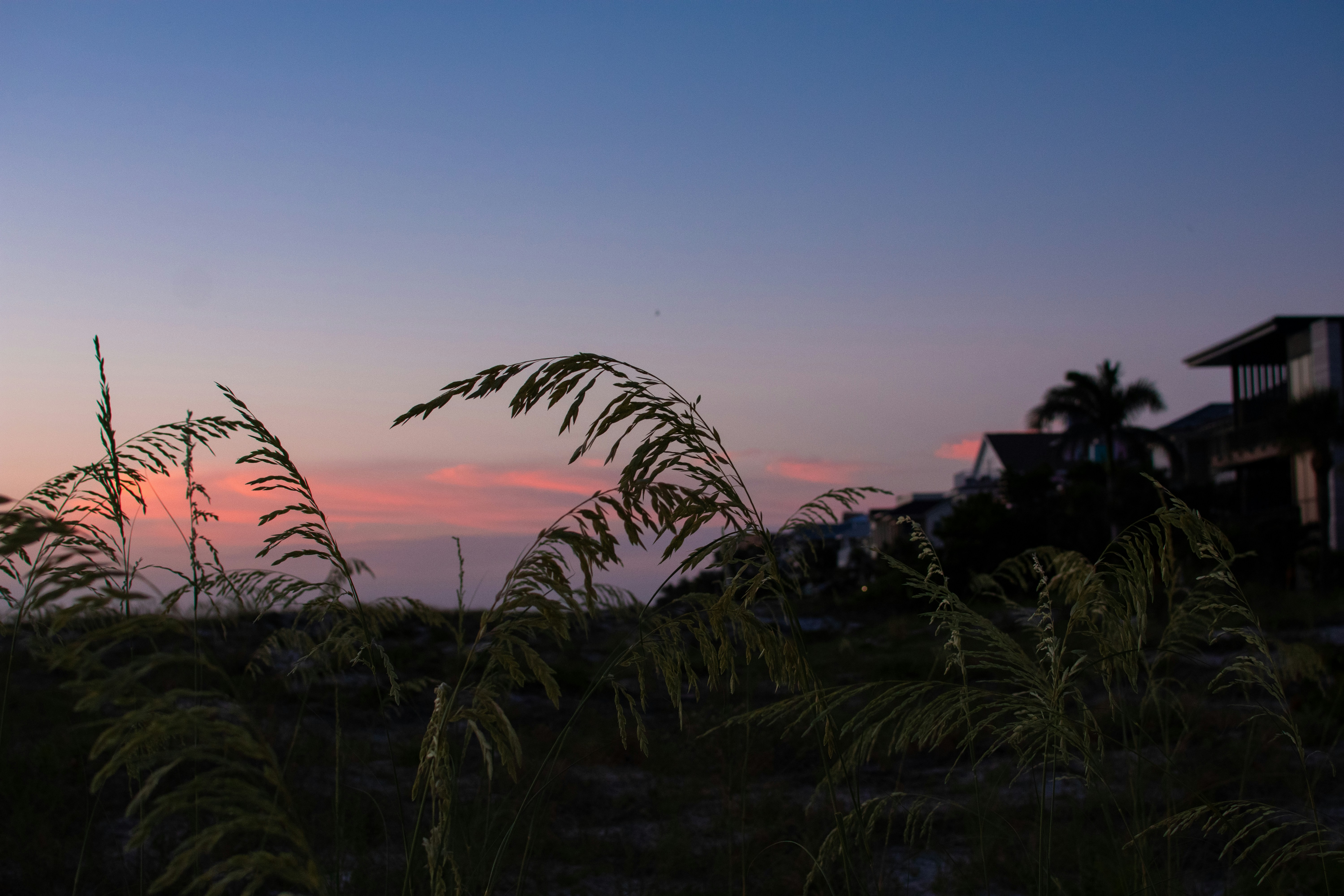 Photo by julianauribbe