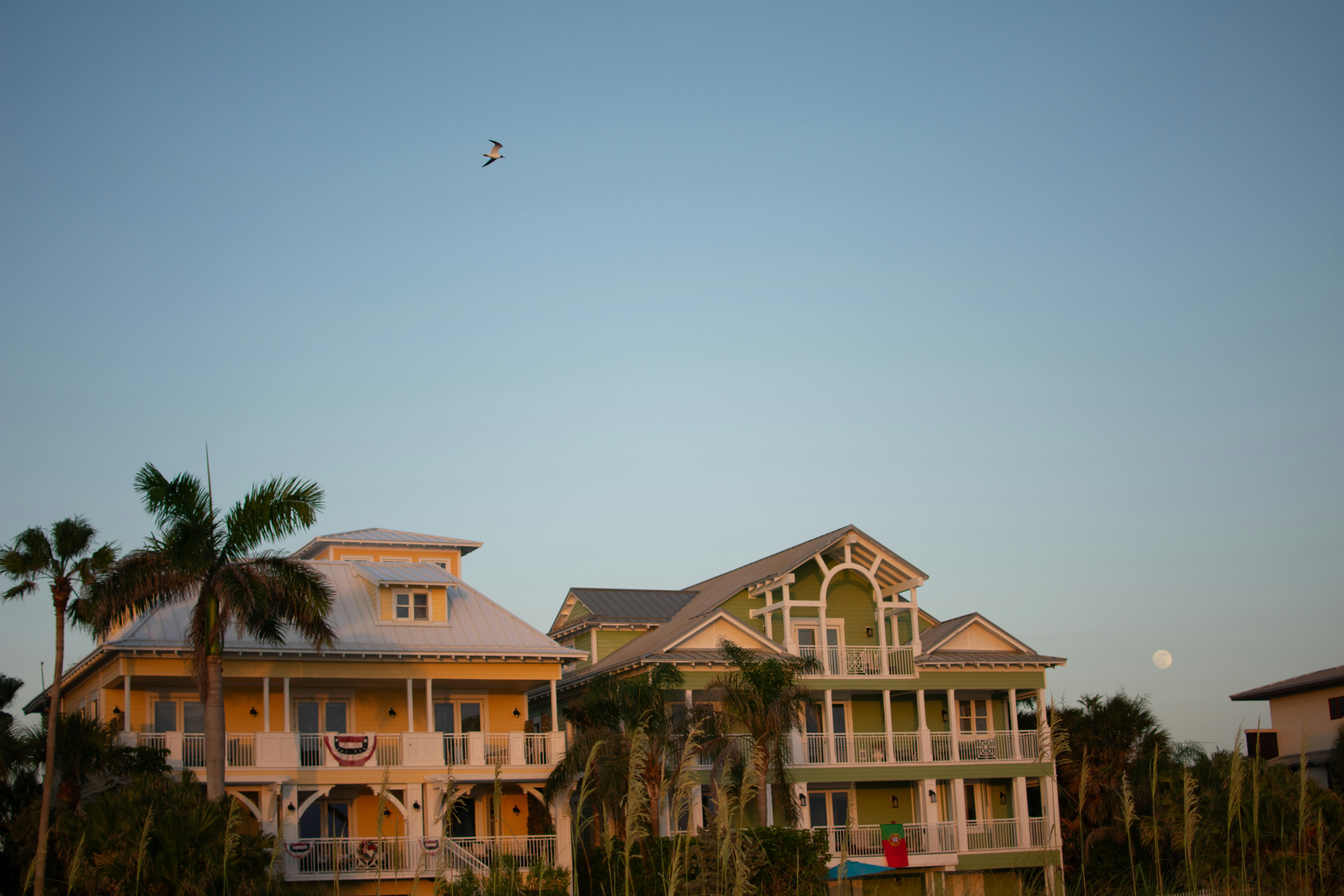 Photo by julianauribbe