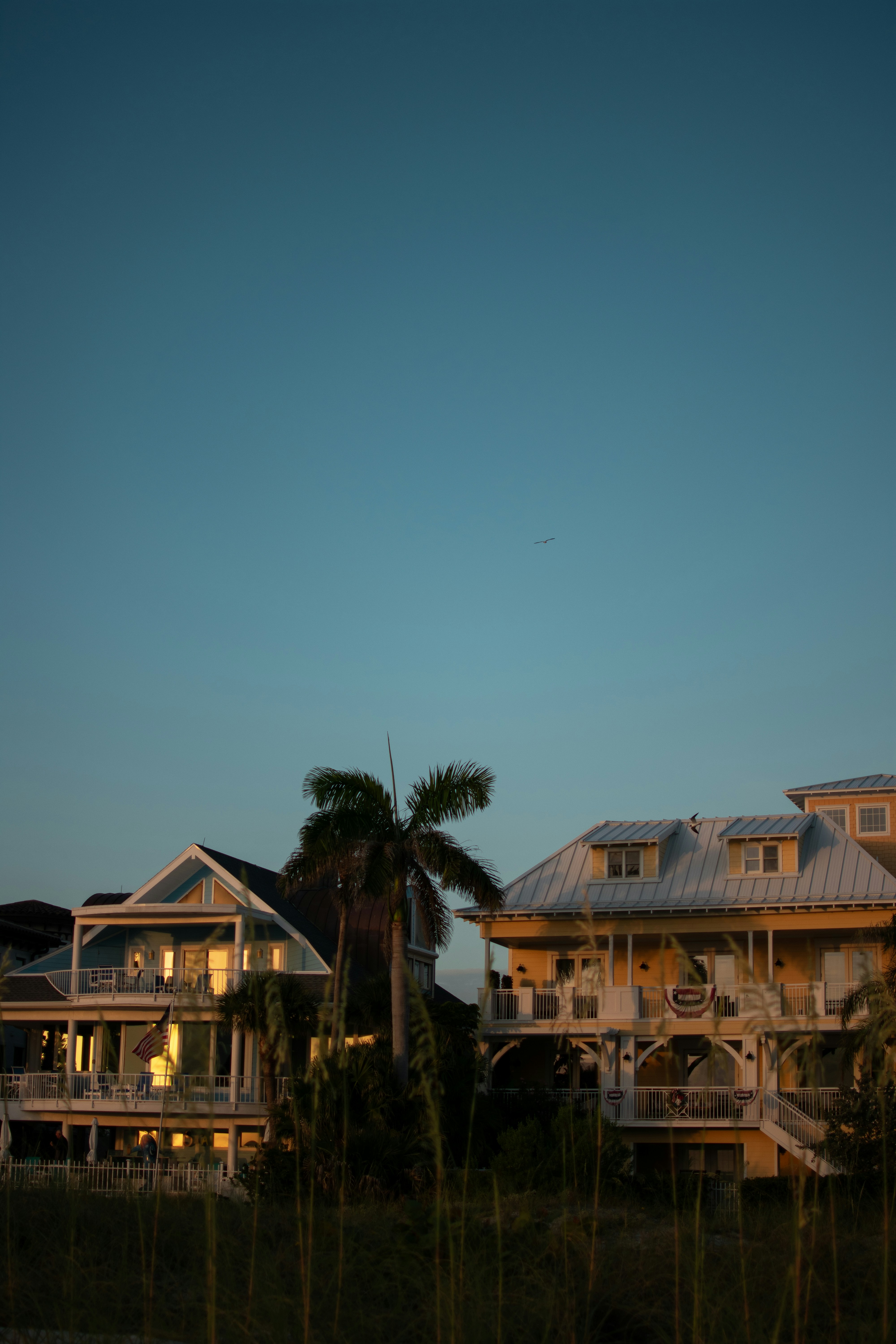 Photo by julianauribbe