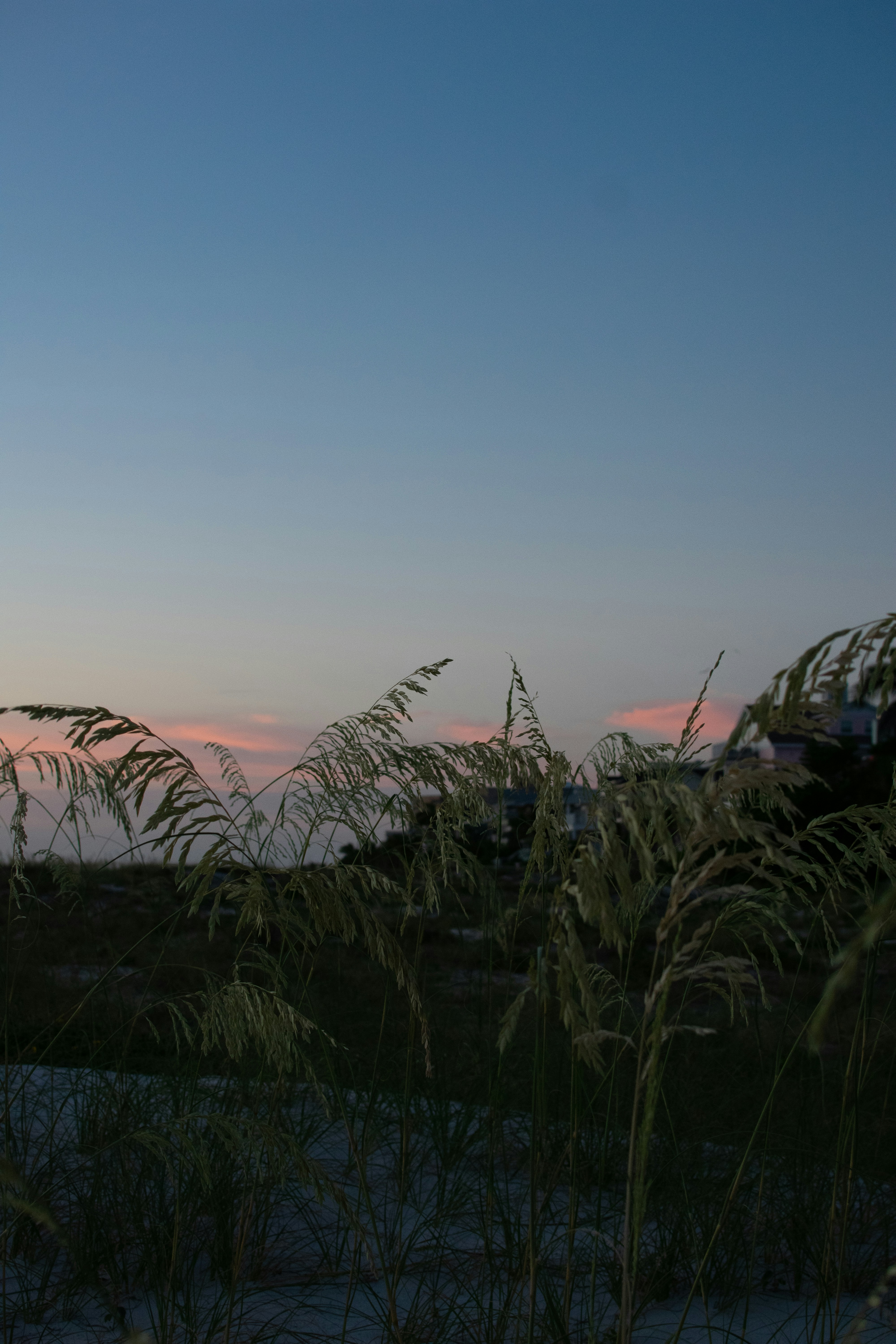 Photo by julianauribbe