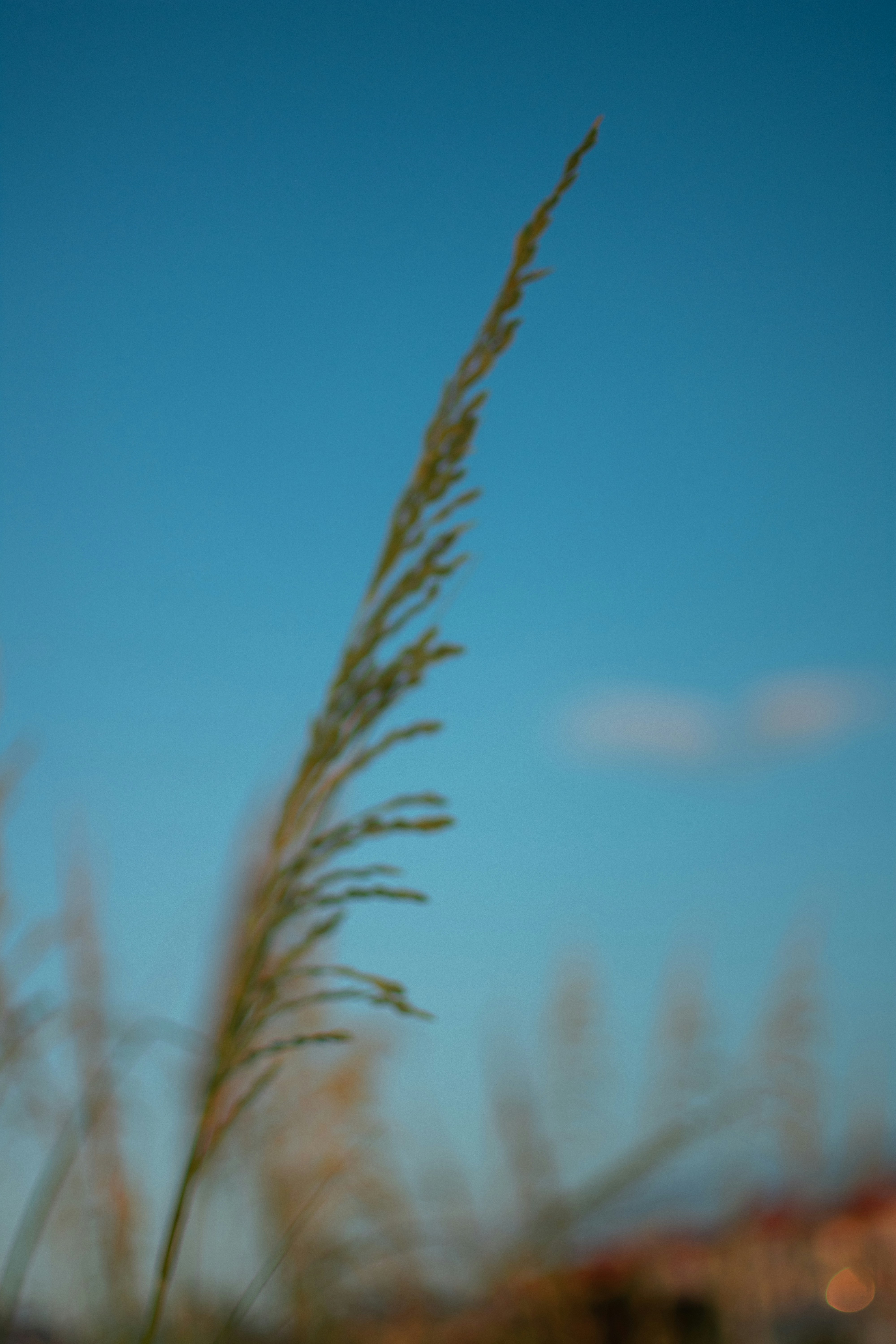 Photo by julianauribbe