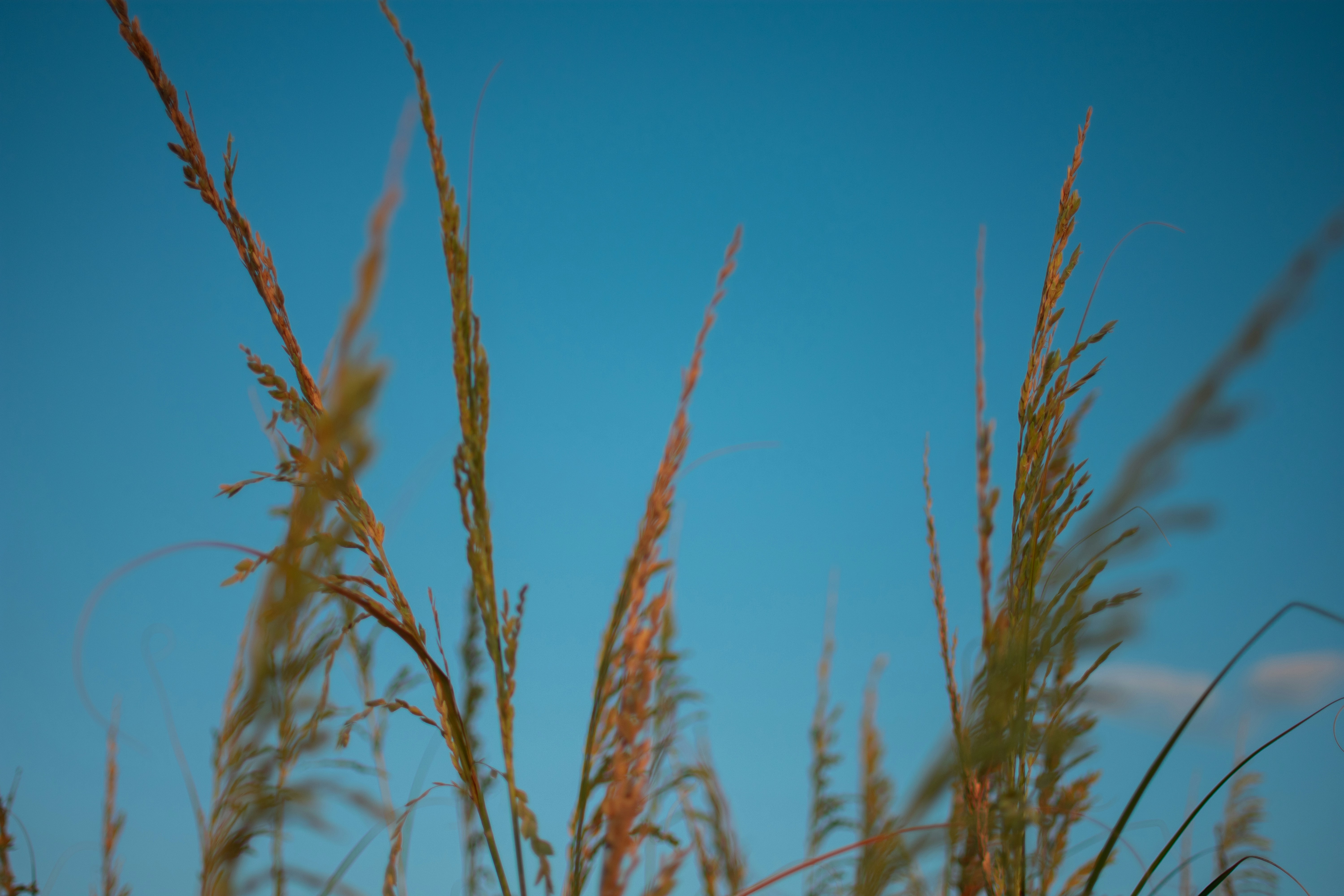 Photo by julianauribbe