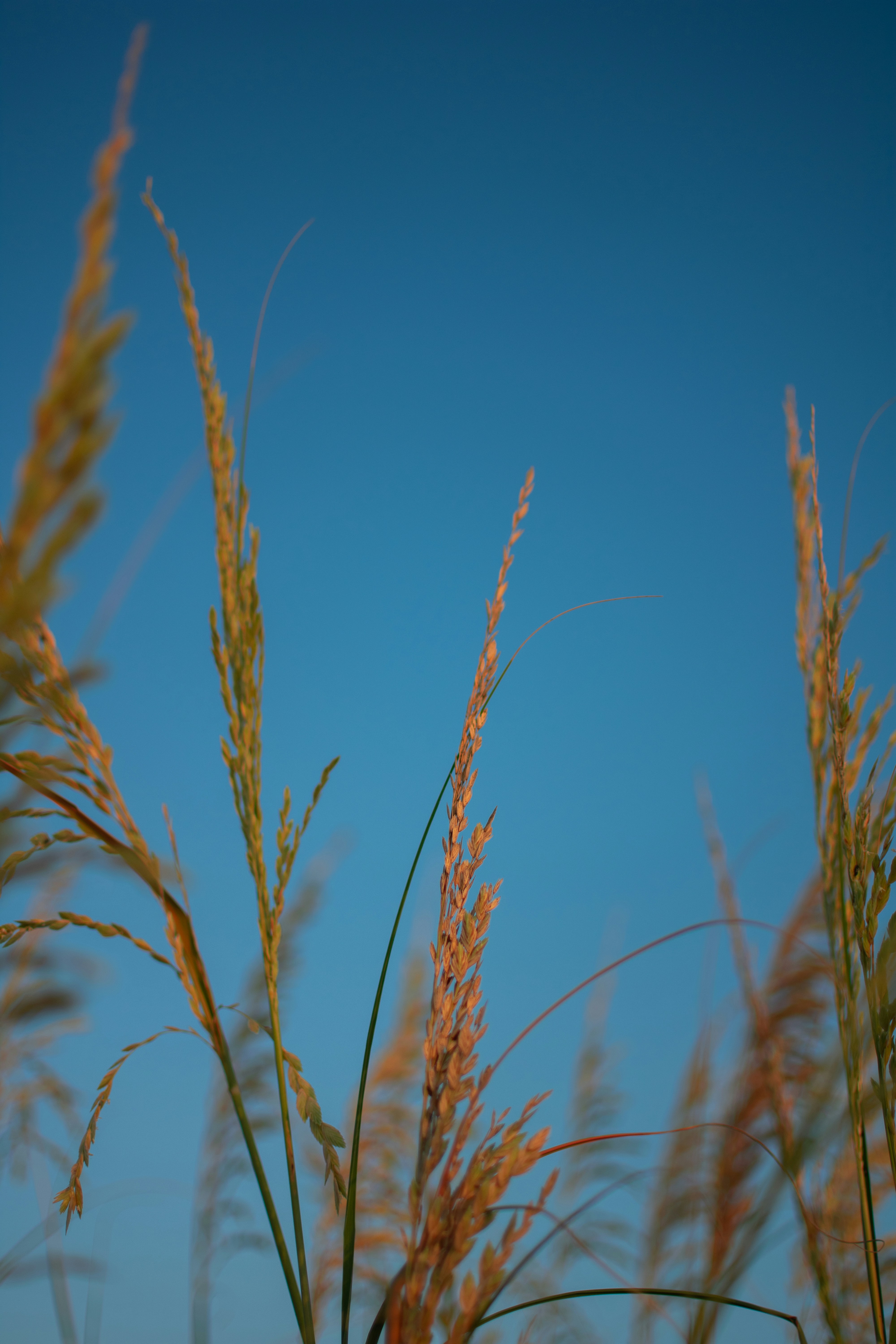 Photo by julianauribbe