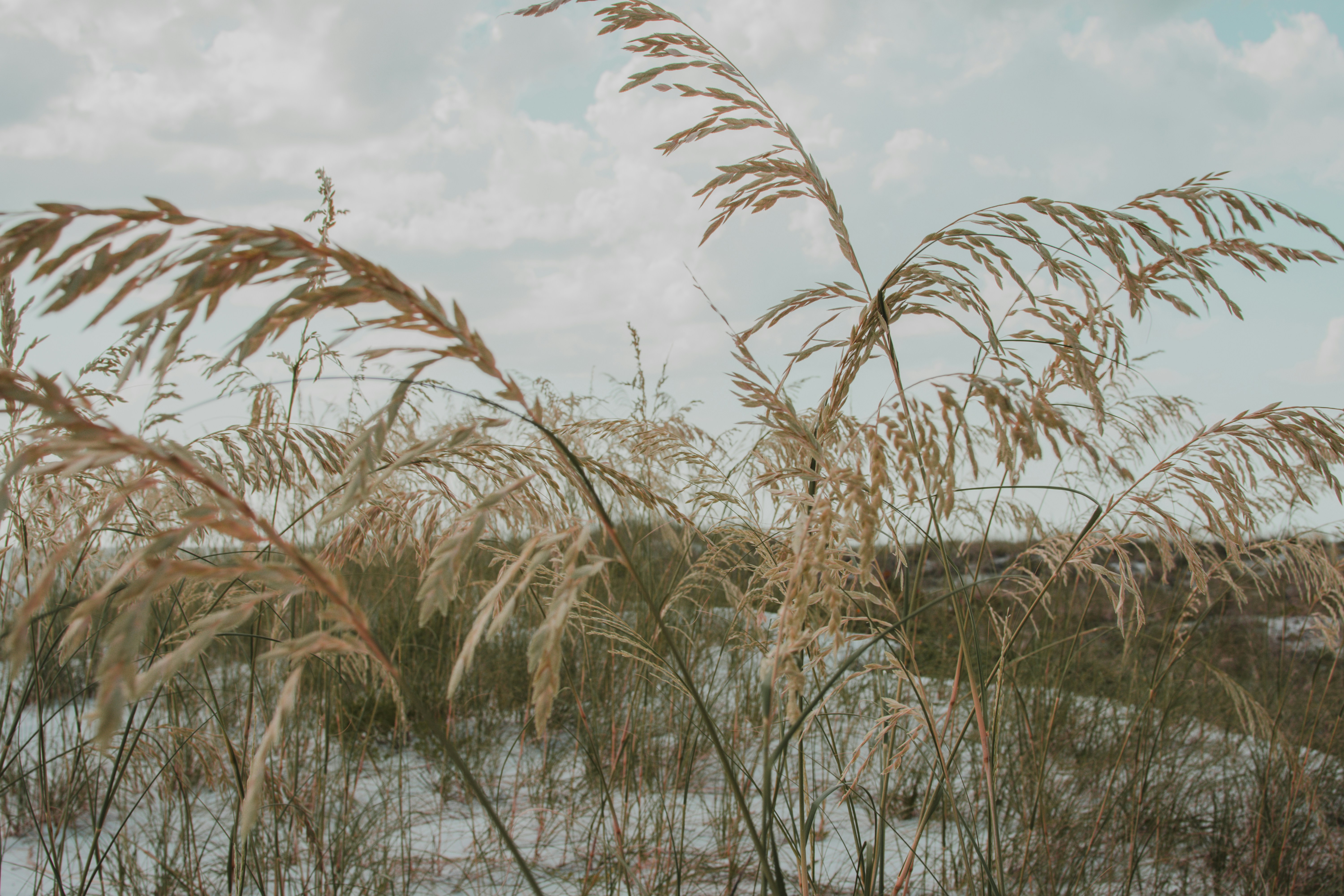 Photo by julianauribbe