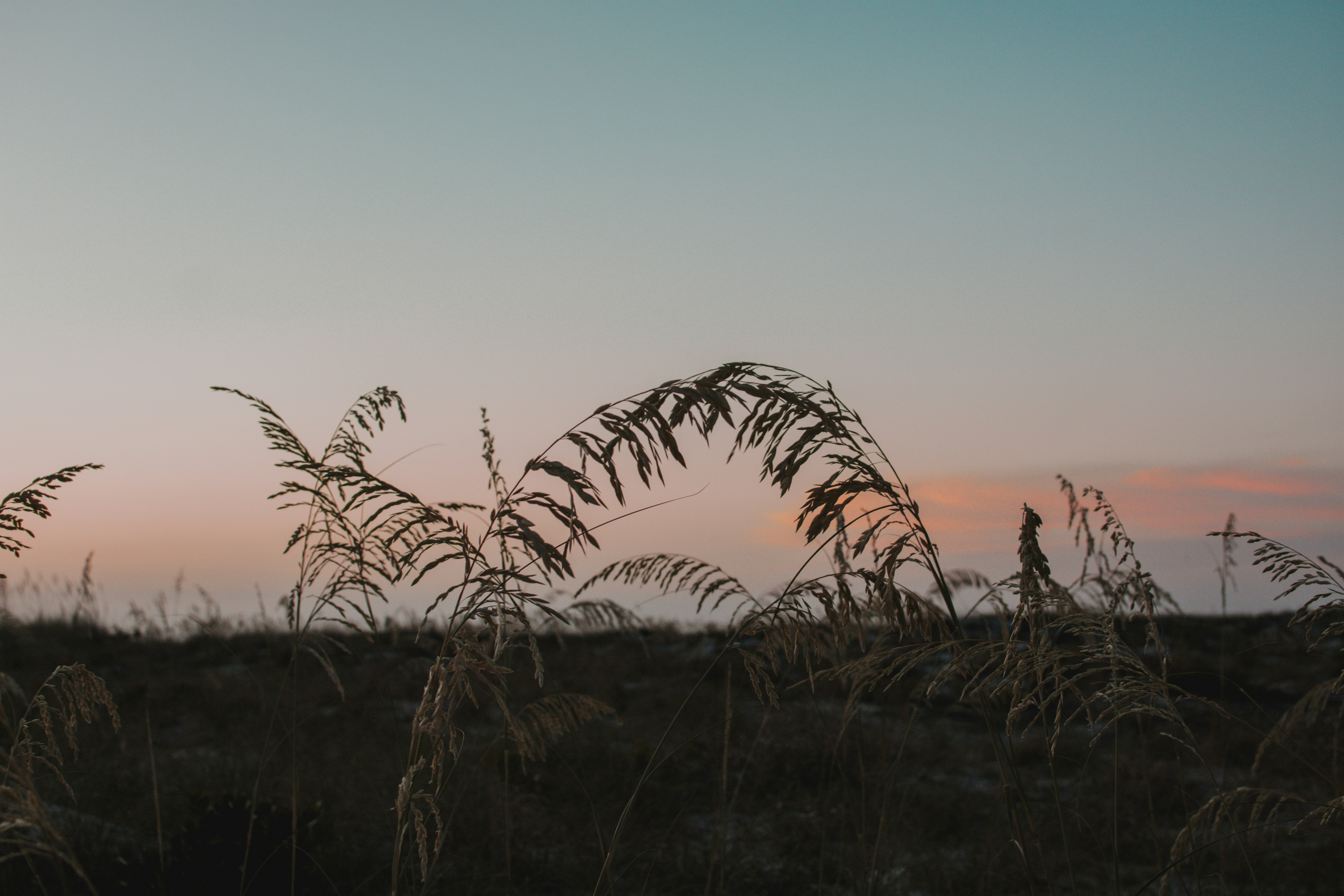 Photo by julianauribbe