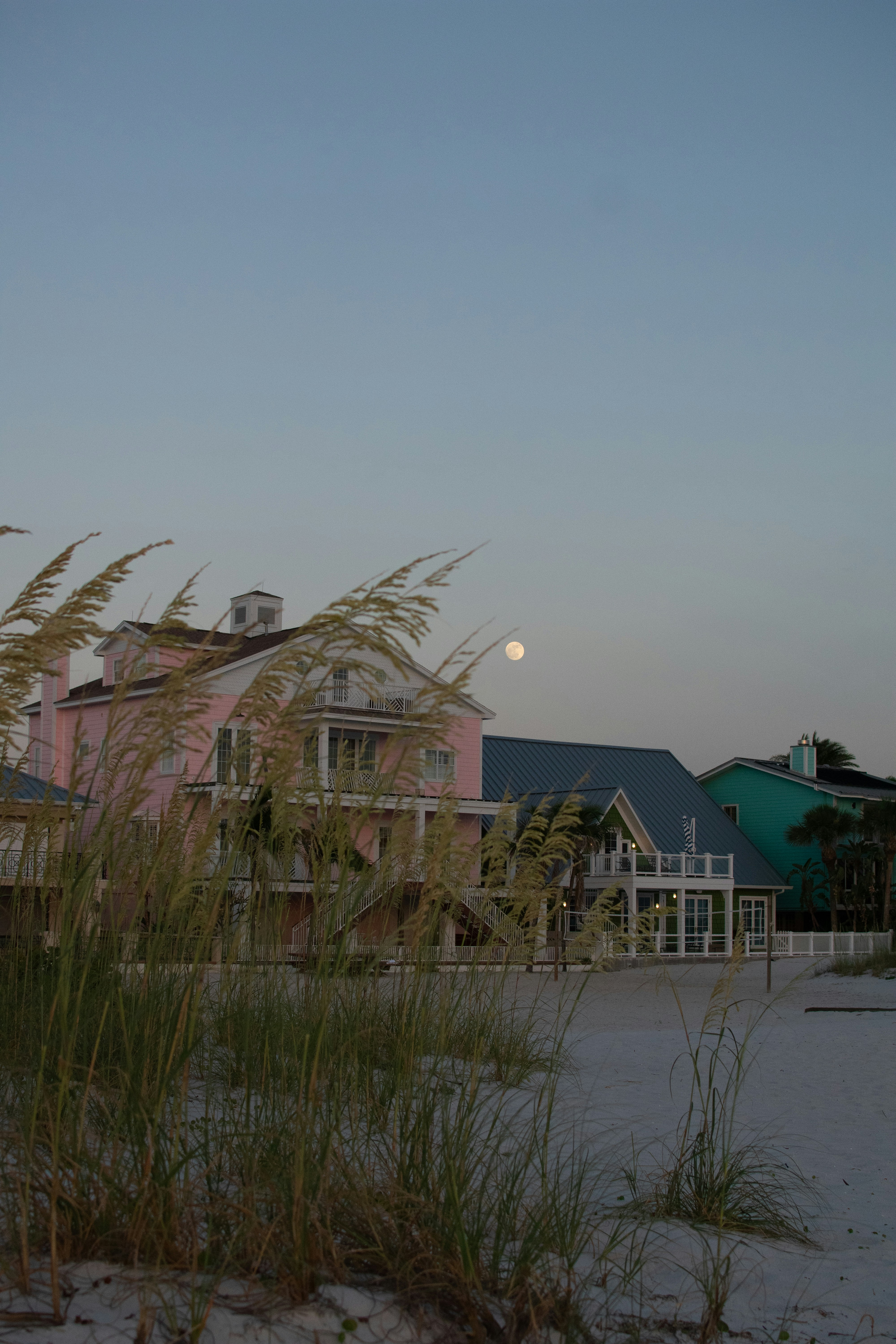 Photo by julianauribbe