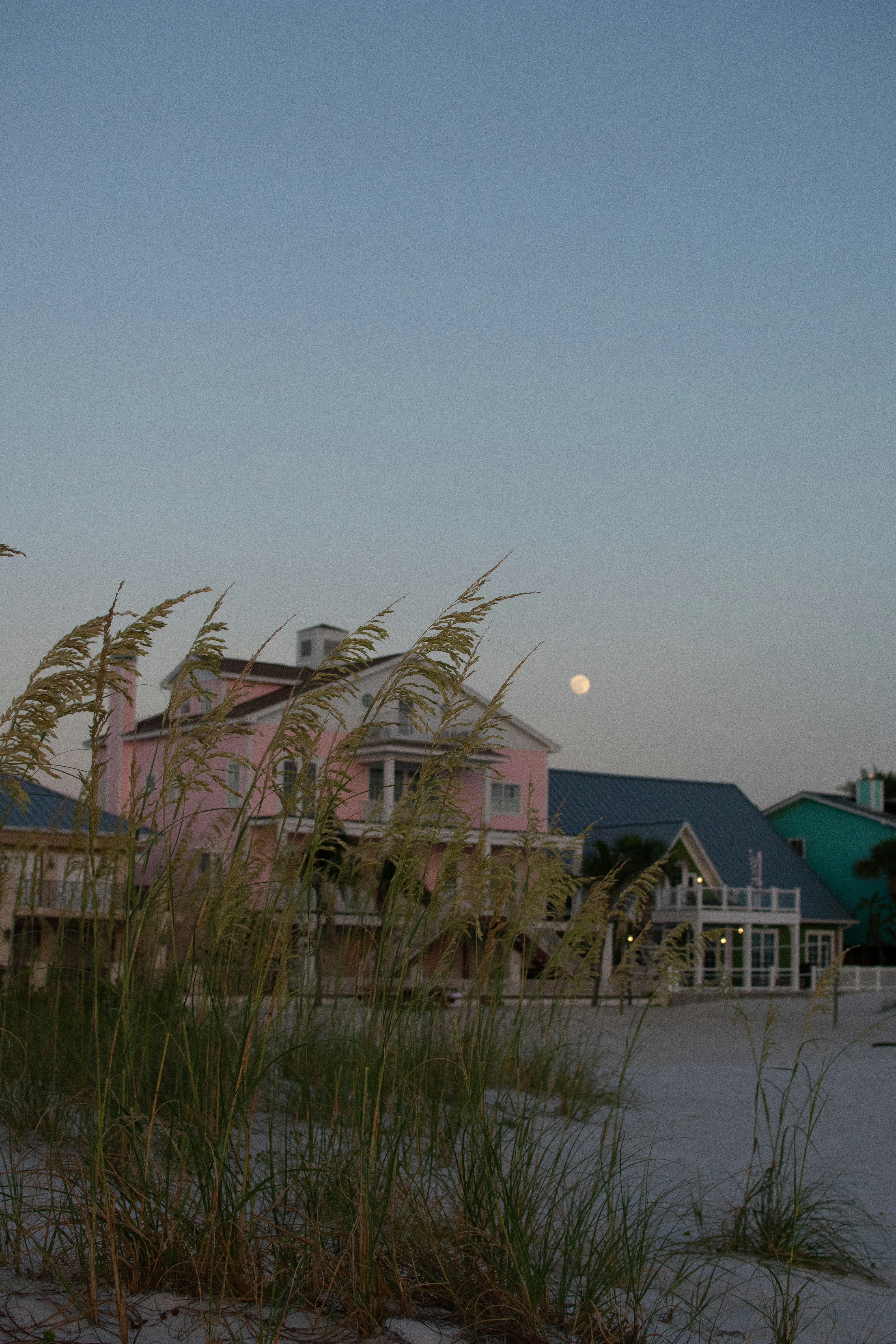 Photo by julianauribbe