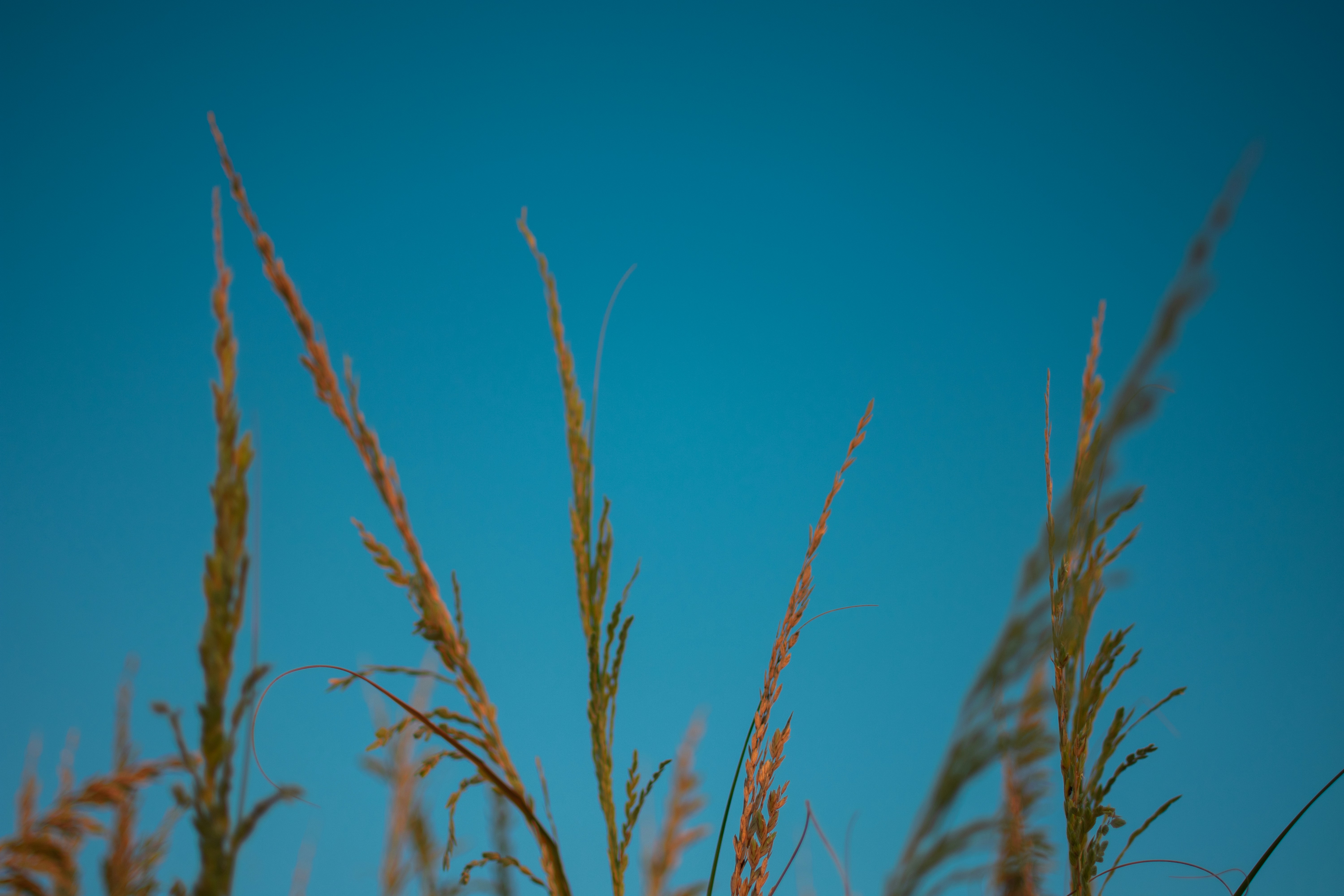 Photo by julianauribbe