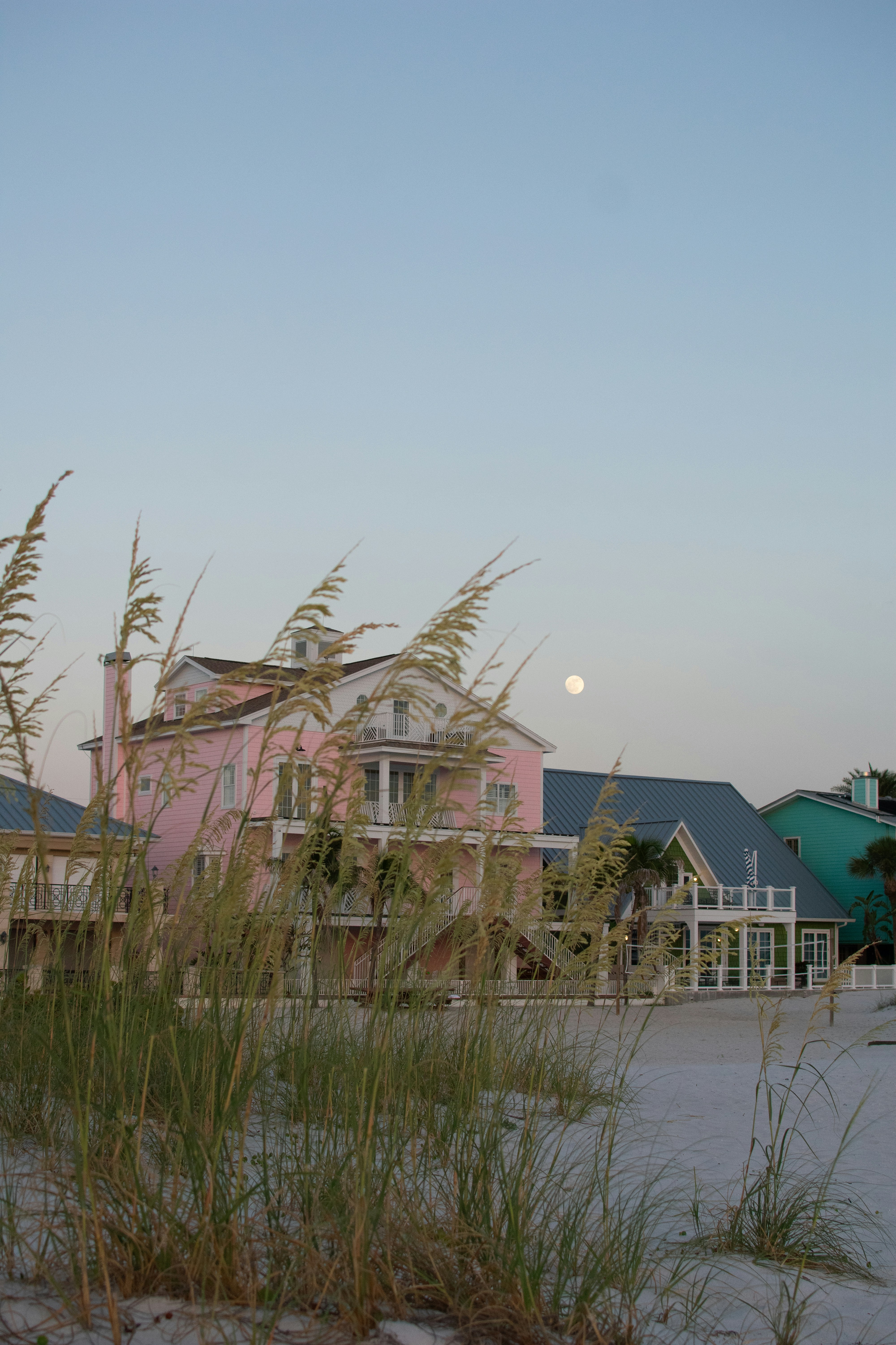 Photo by julianauribbe