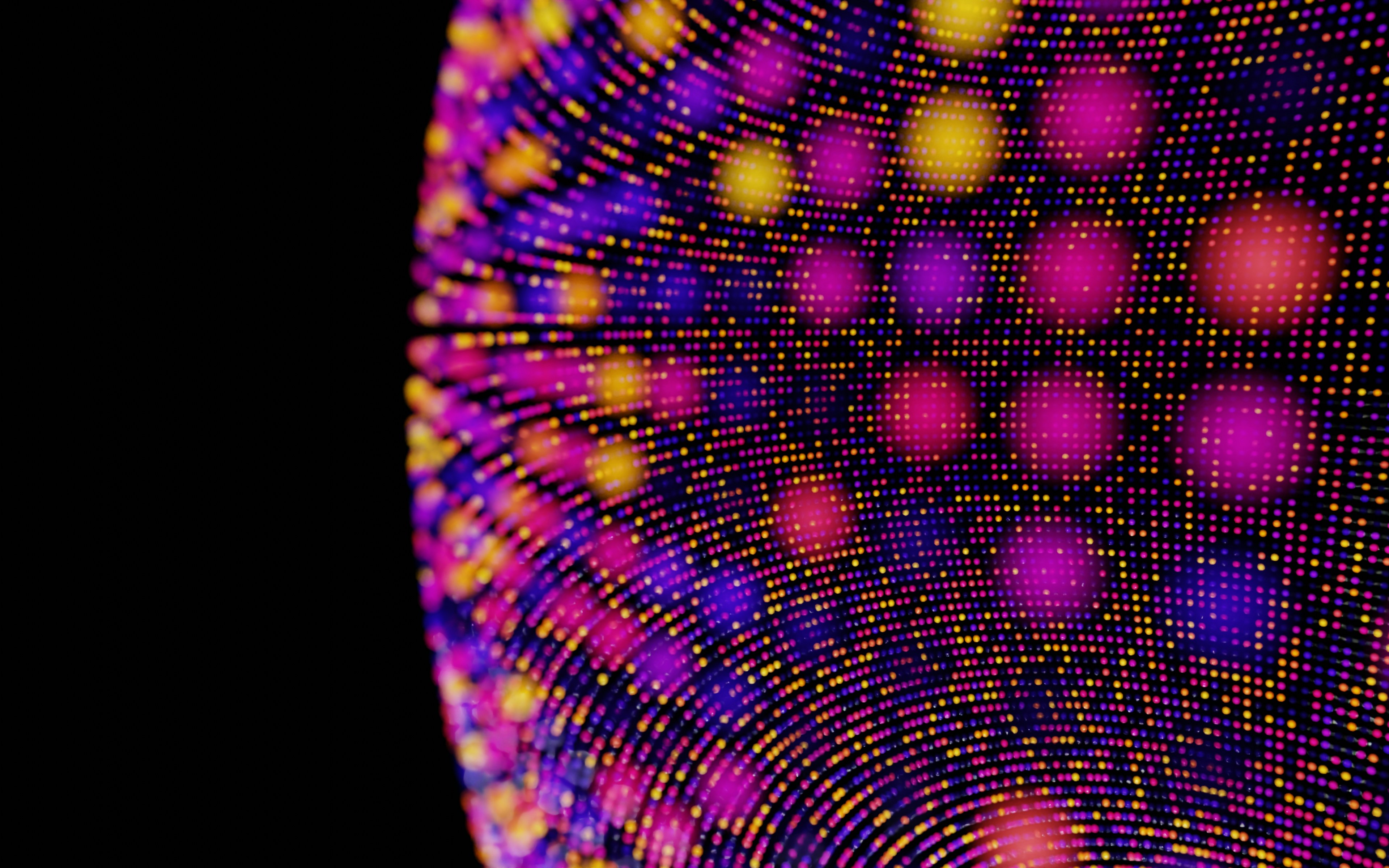 Photo by boliviainteligente