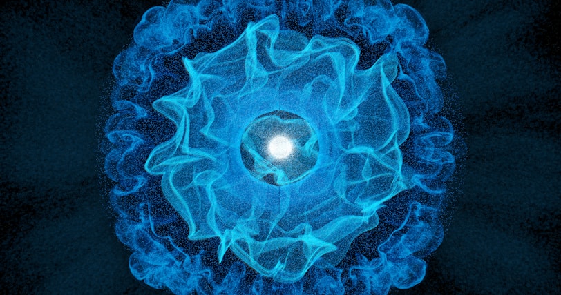 A blue flower with a white center on a black background