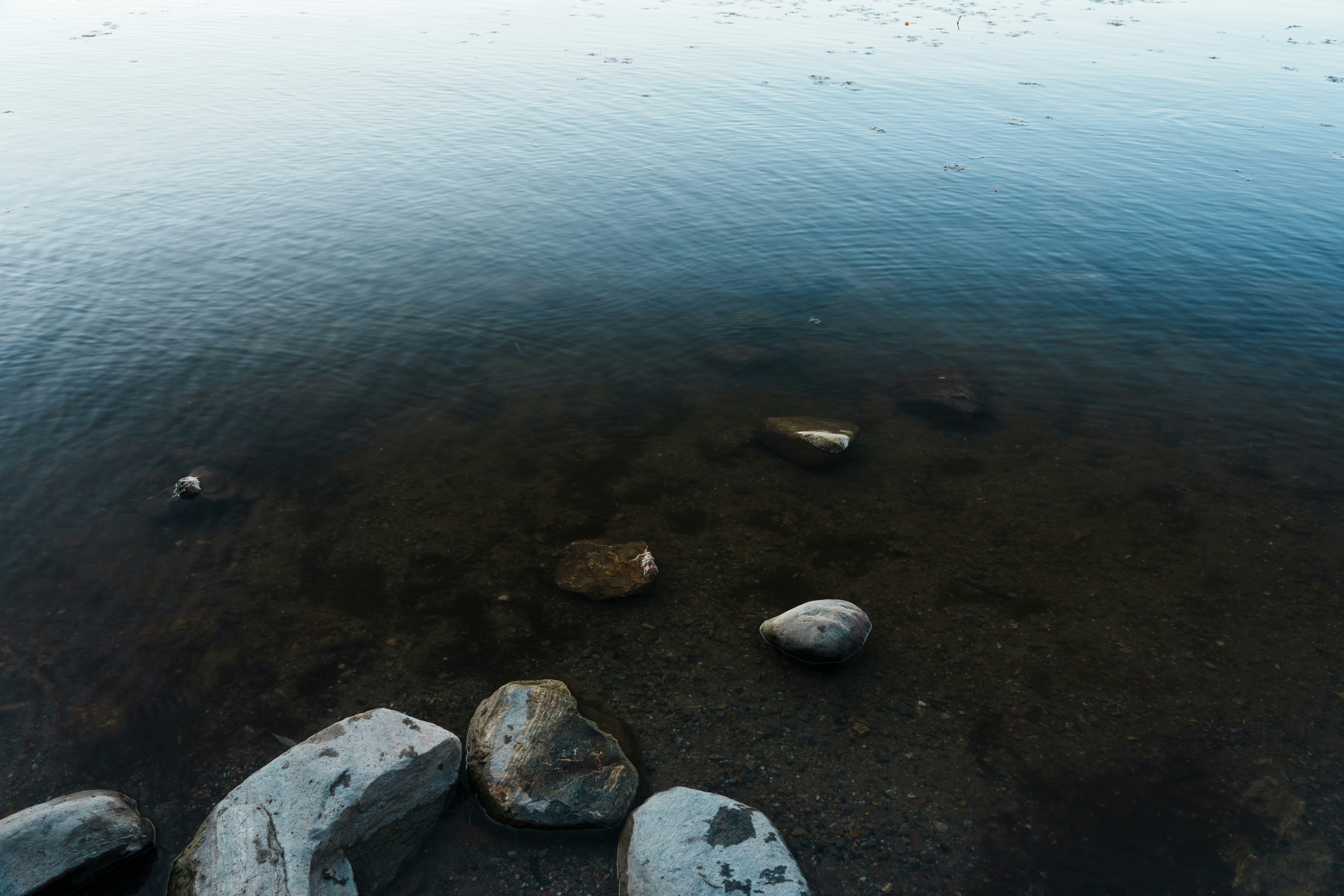 Rocks and clear water at the edge of a lake.