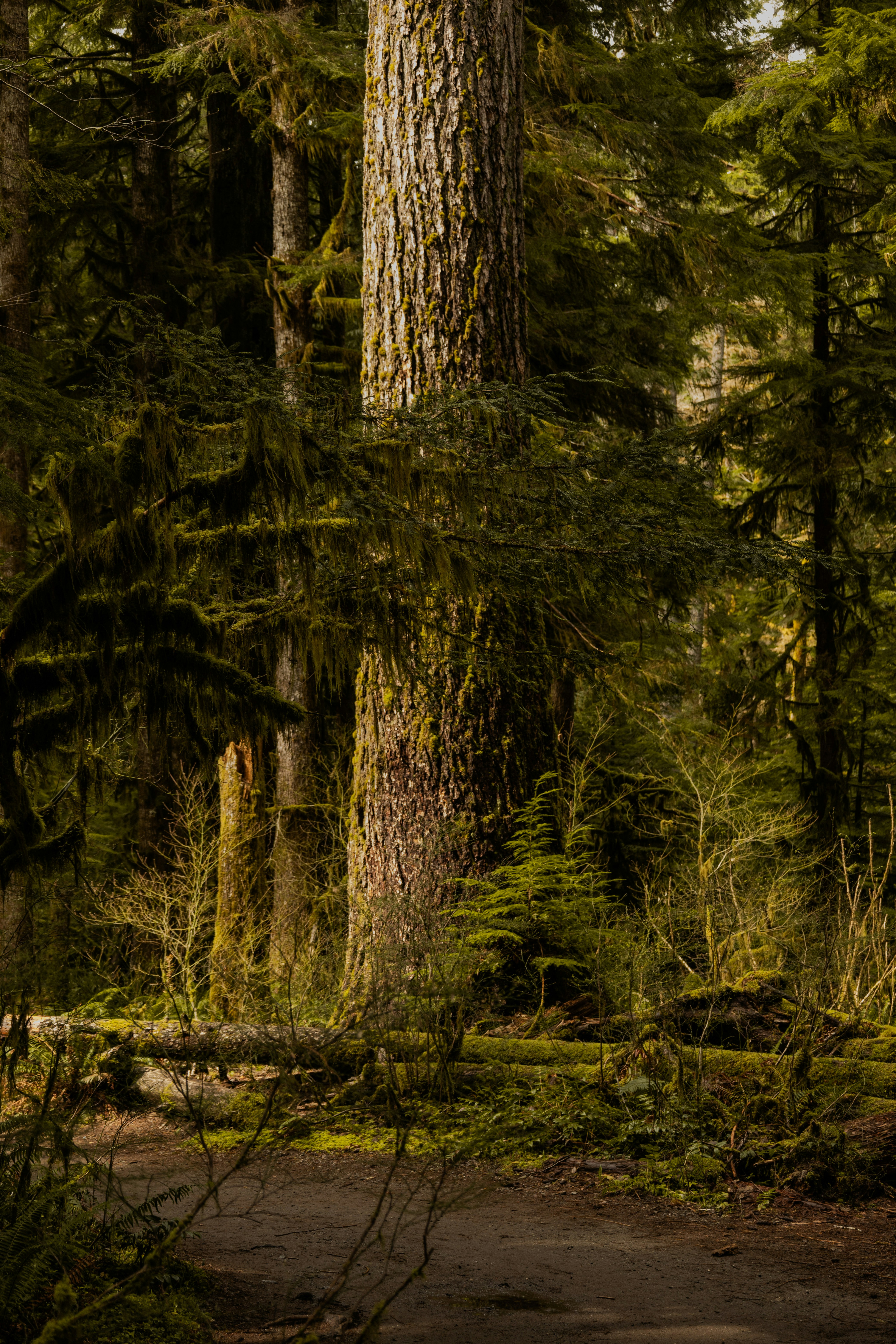 Photo by abhi_dasari