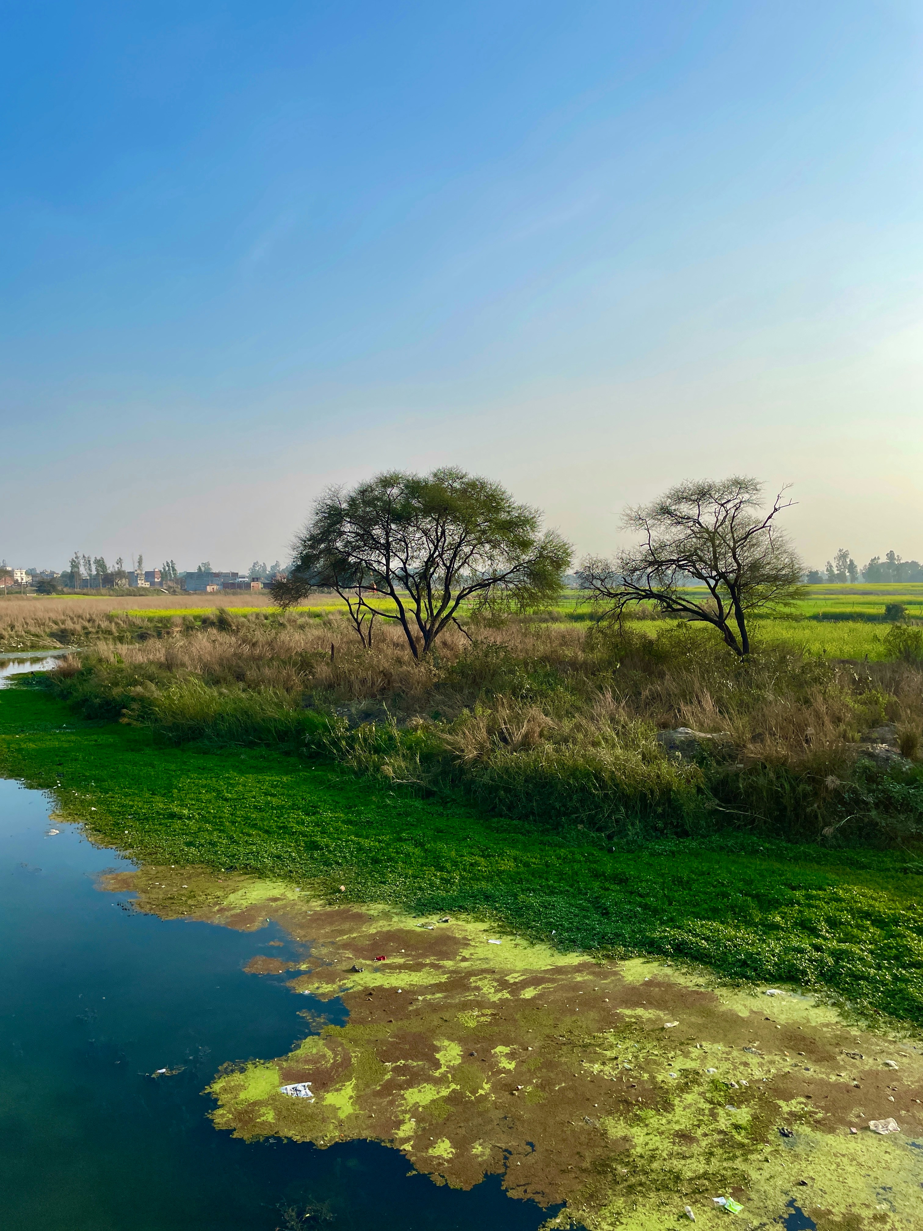 Photo by sunilprajapati3001