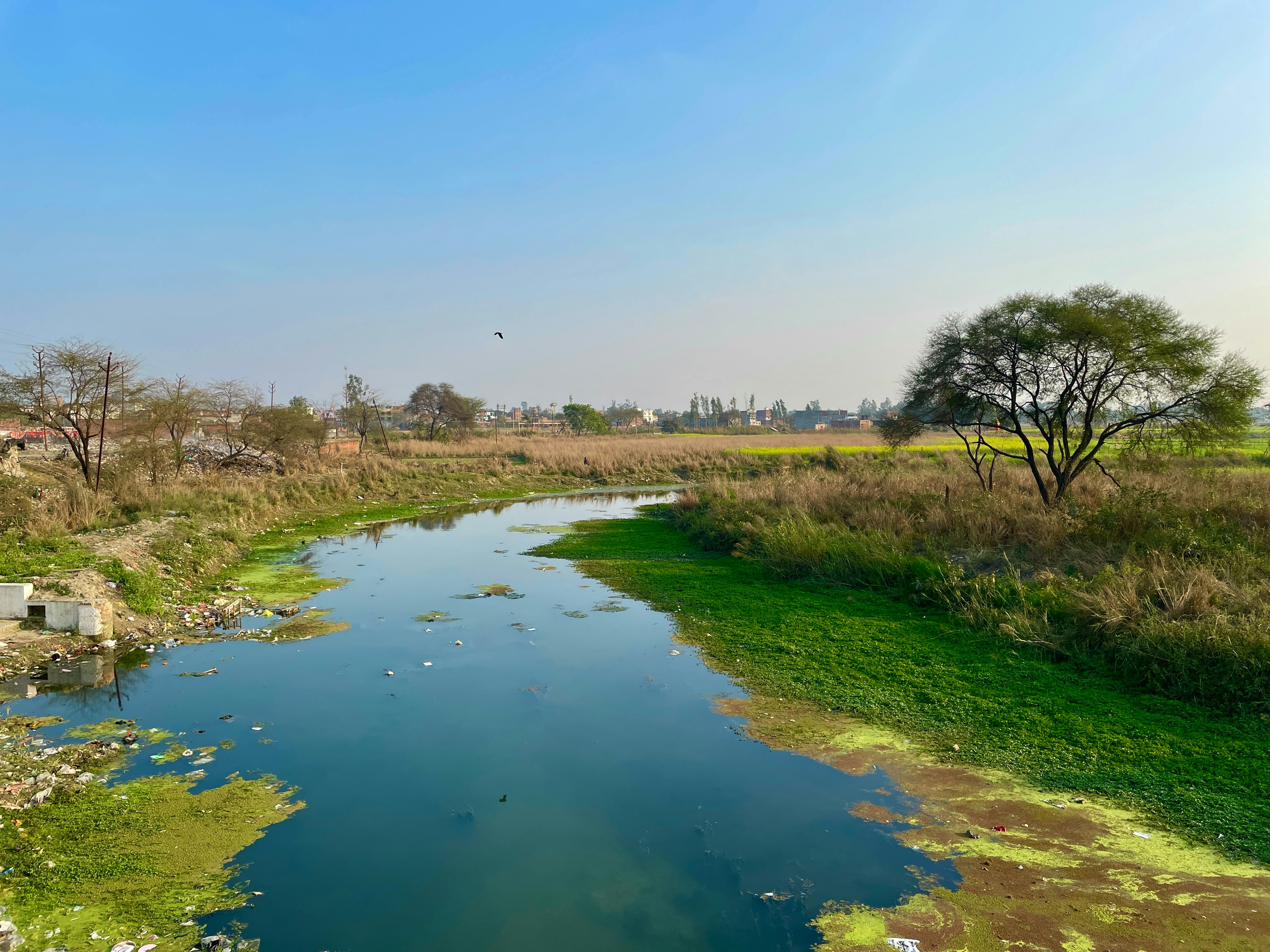 Photo by sunilprajapati3001