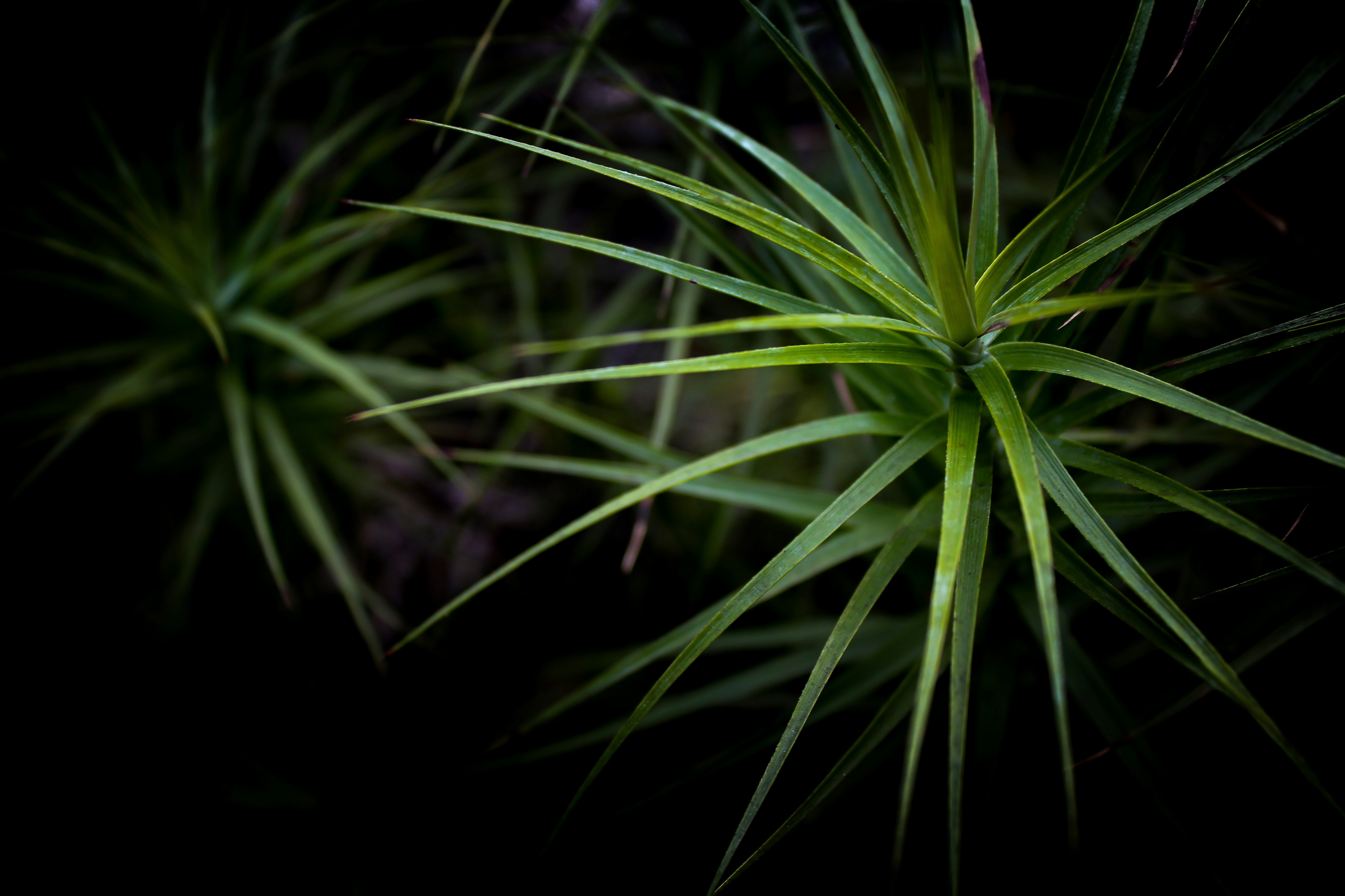 Photo by light_and_hope