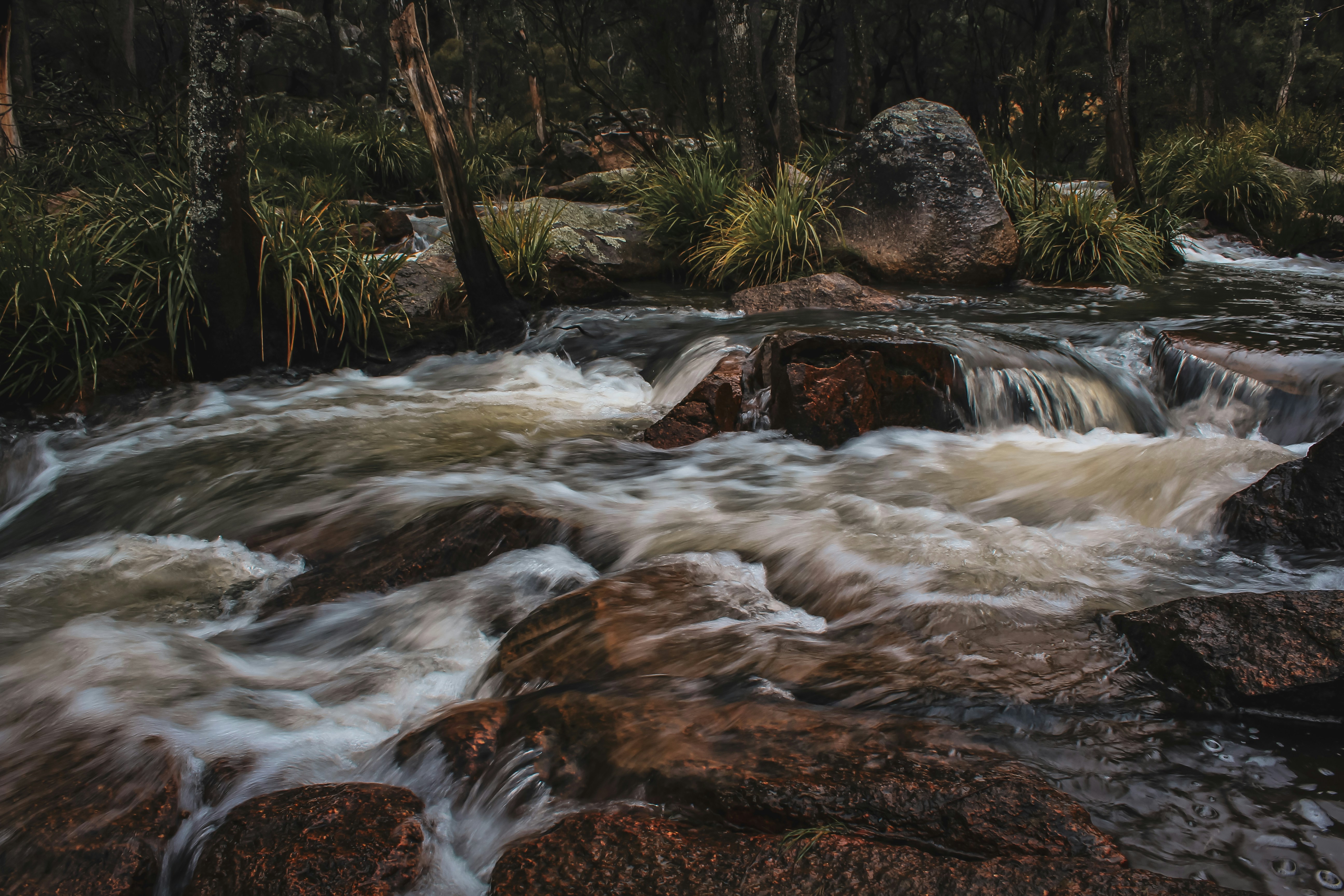 Photo by light_and_hope