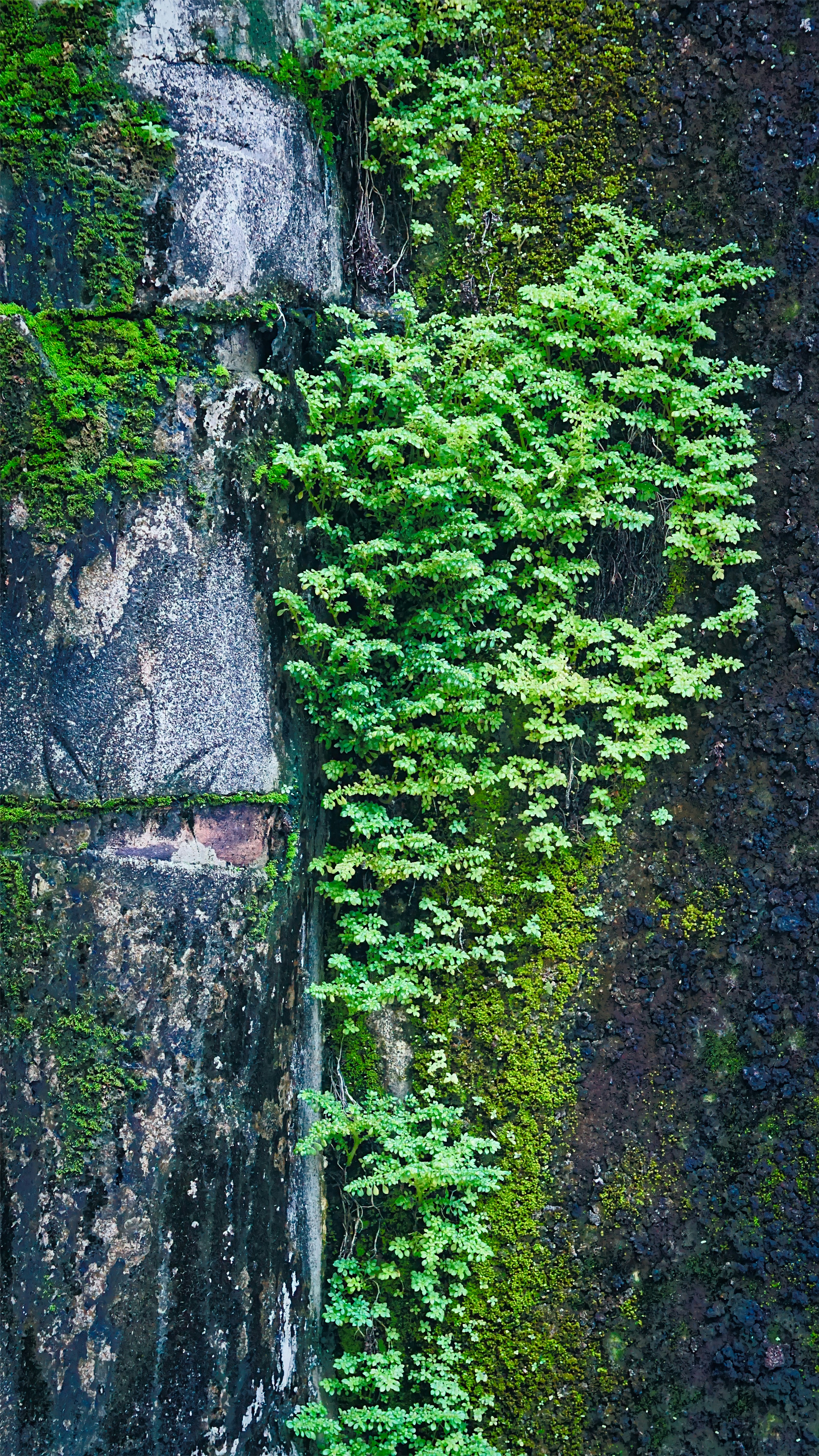 Photo by thomaskinto