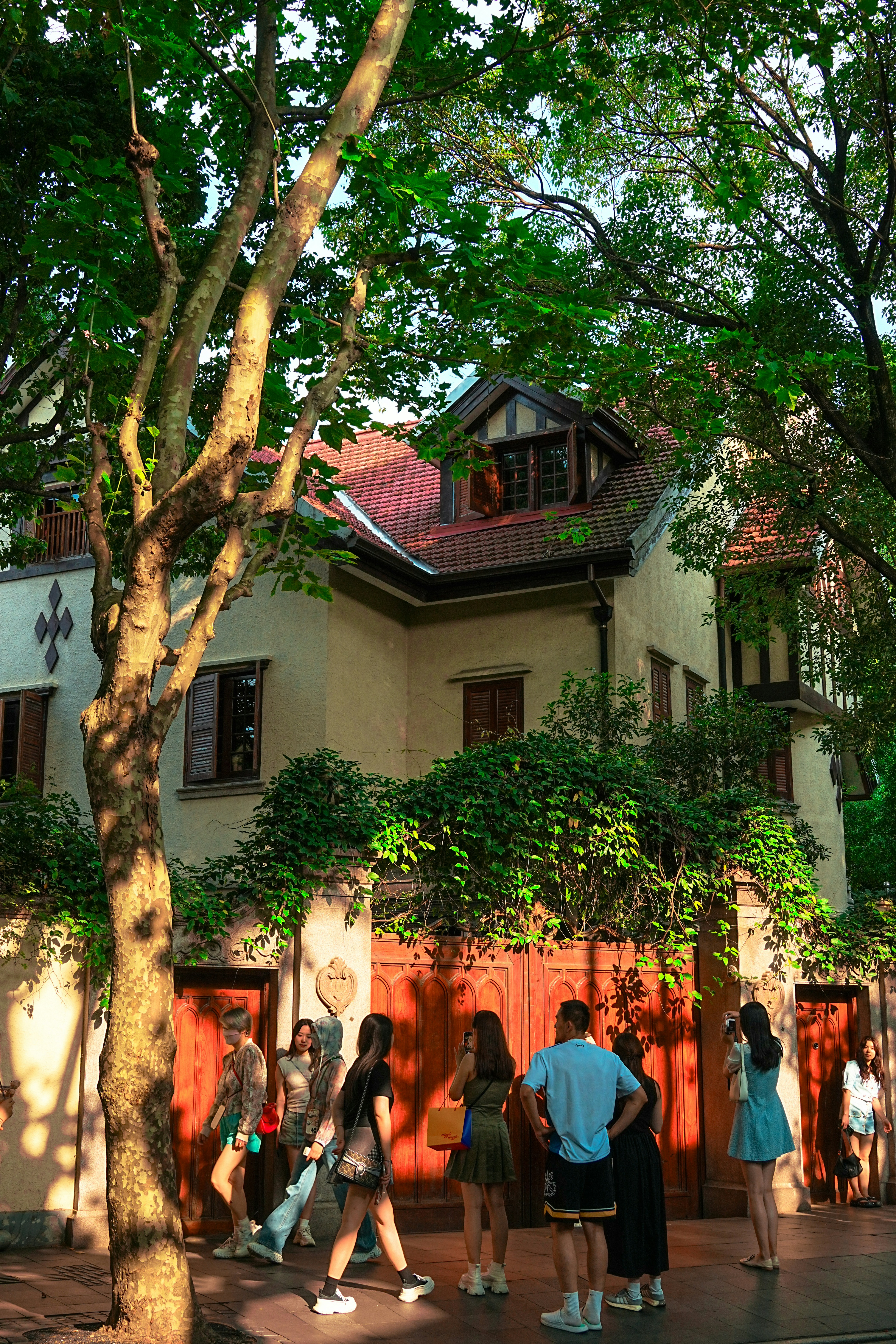 Photo by hattrick1996