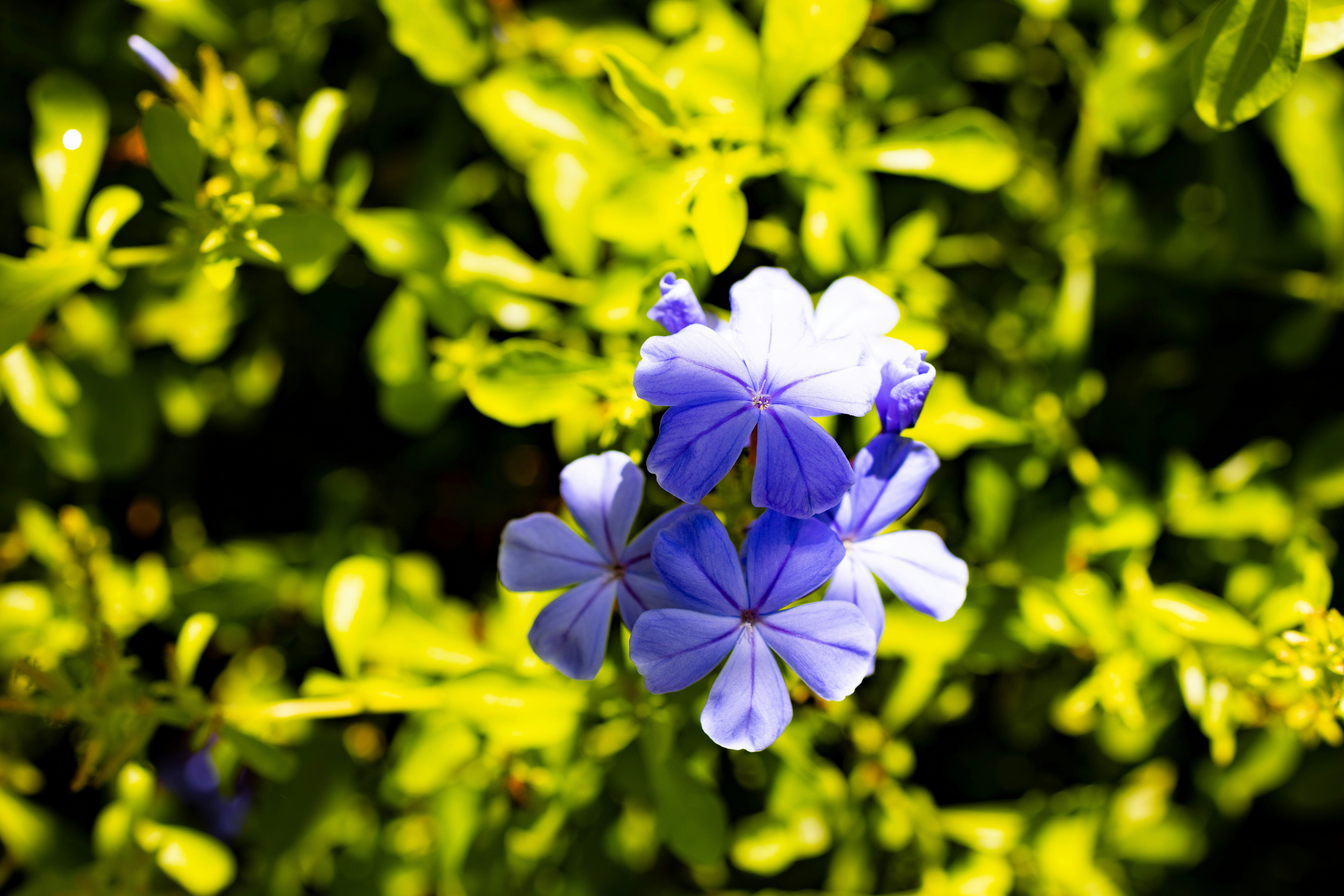 Photo by arttoinspire