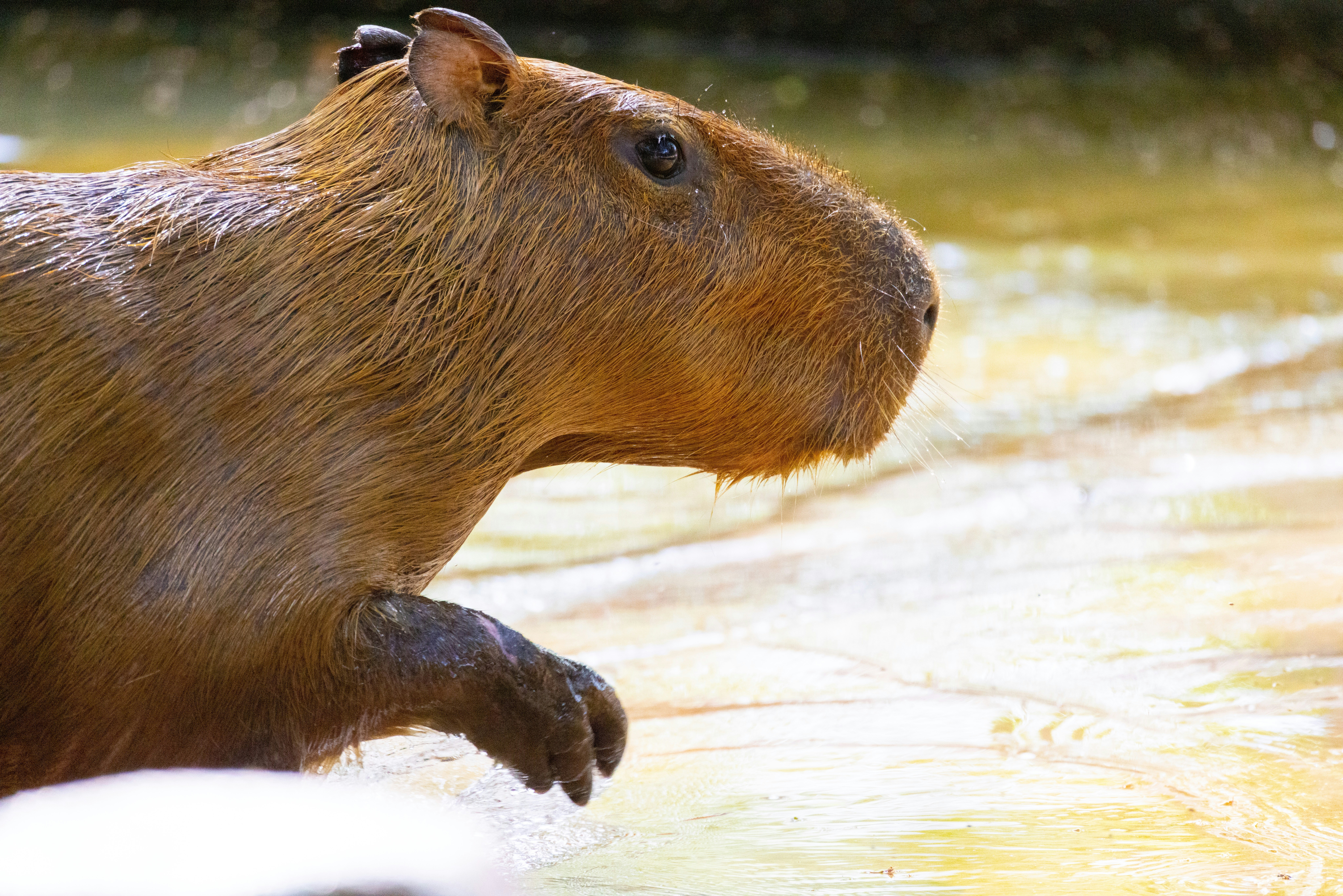 Photo by arttoinspire