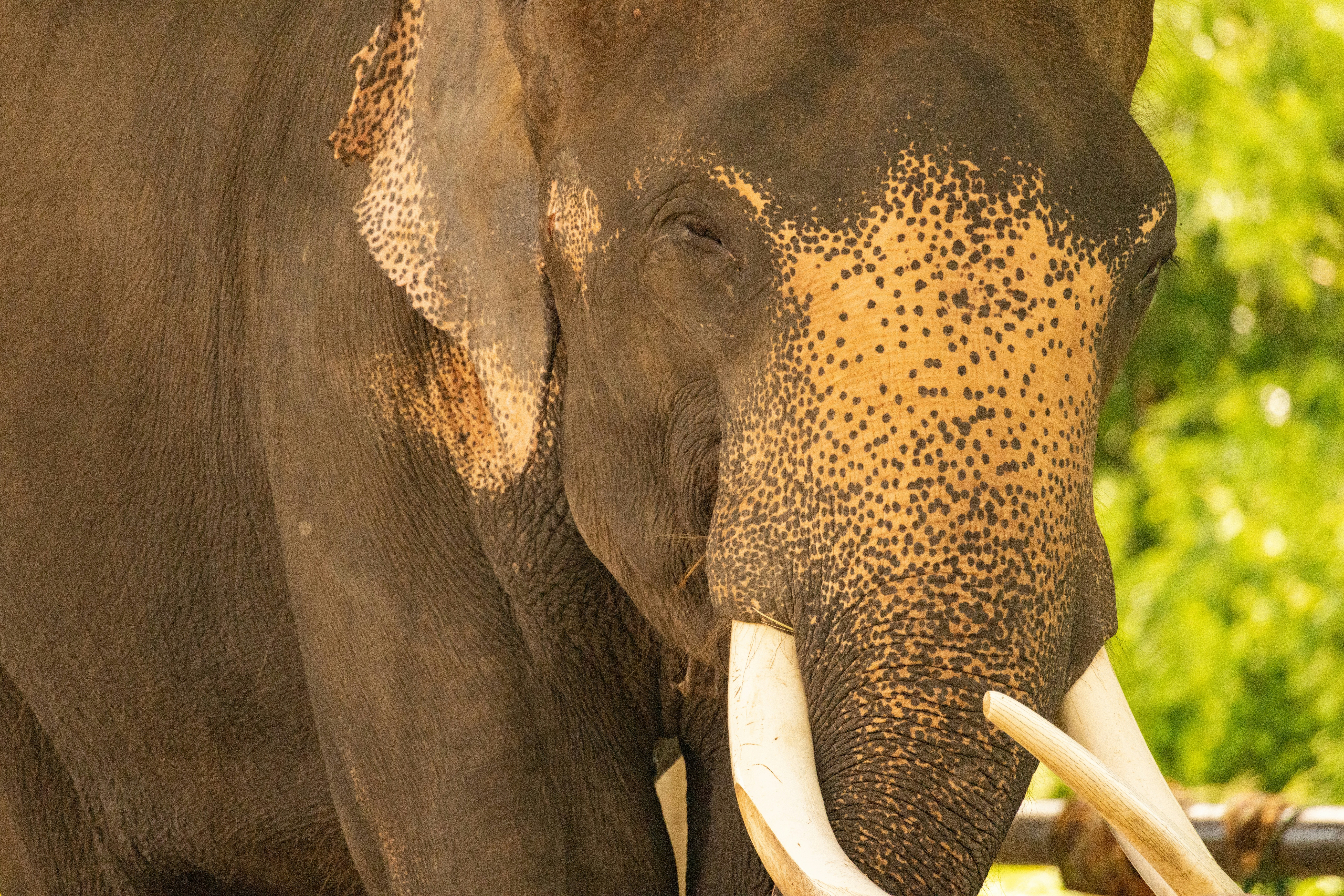 Photo by arttoinspire