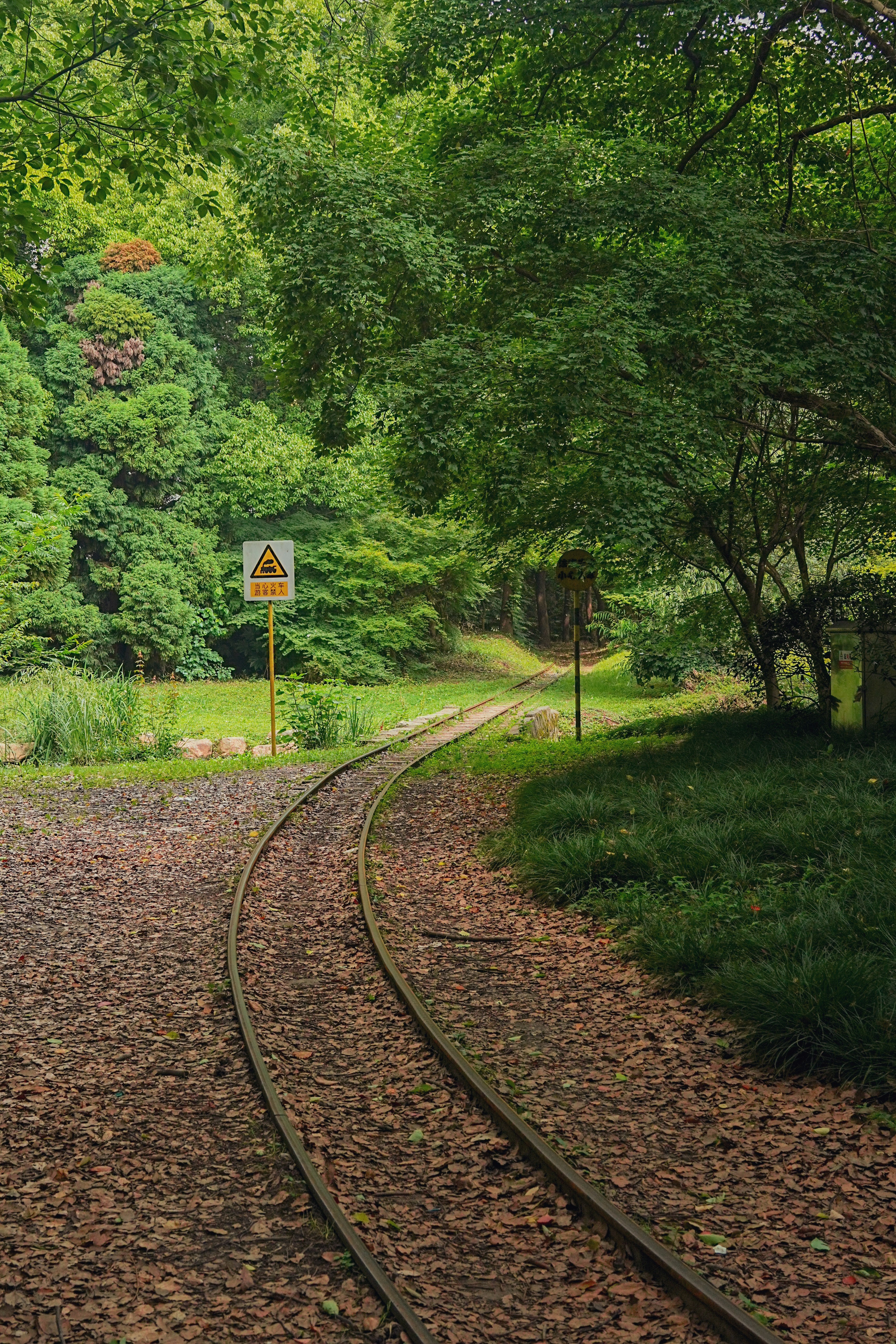 Photo by hattrick1996