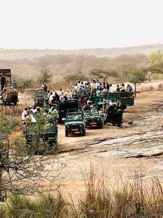A group of people riding on the back of four wheelers