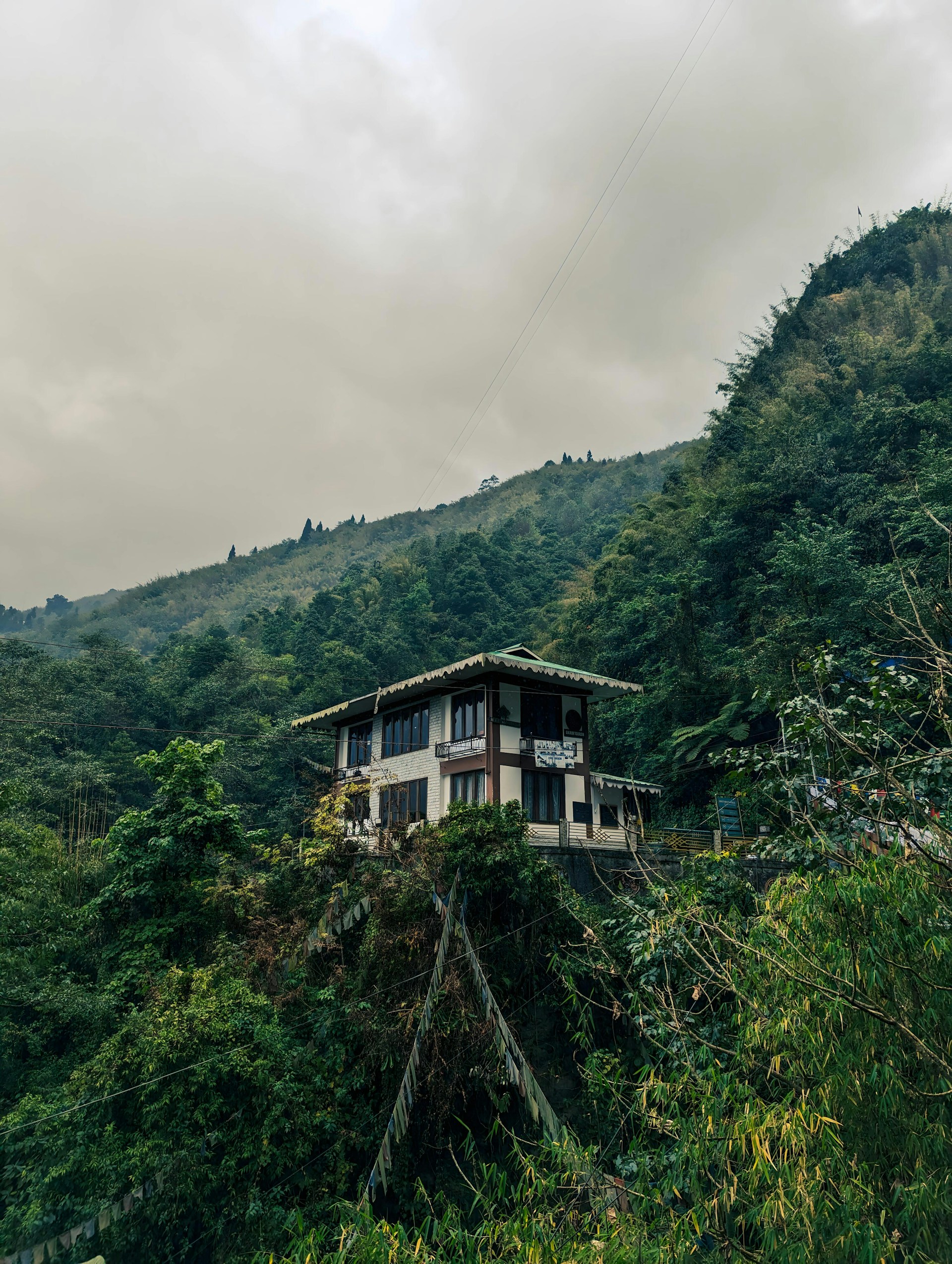 A house sitting on top of a lush green hillside