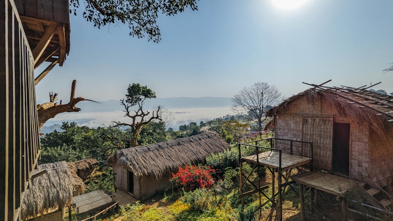 A house with a thatched roof and a tree in the foreground