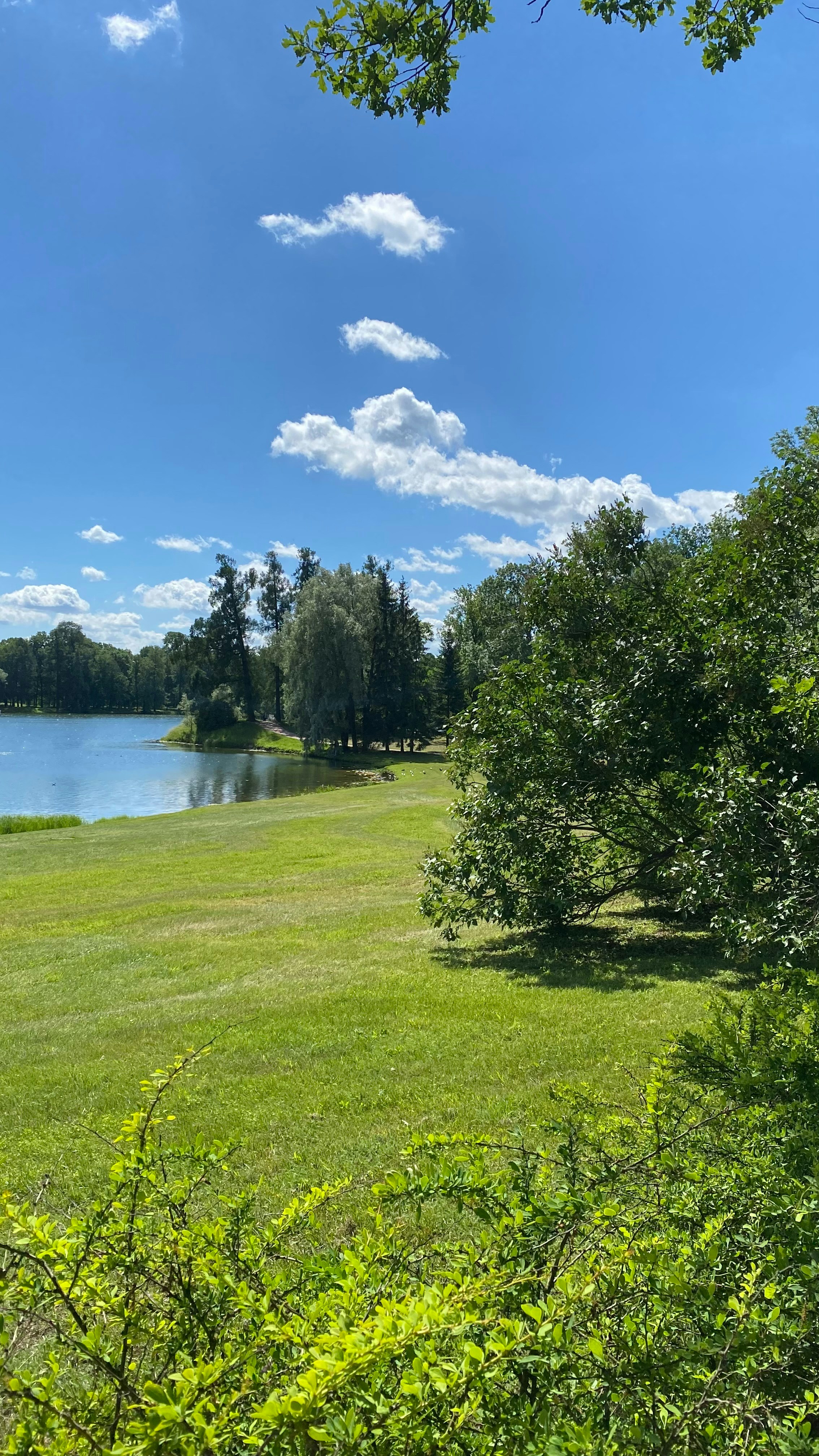 Photo by vertinskaya