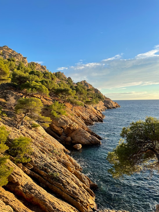 A view of the ocean from the top of a hill