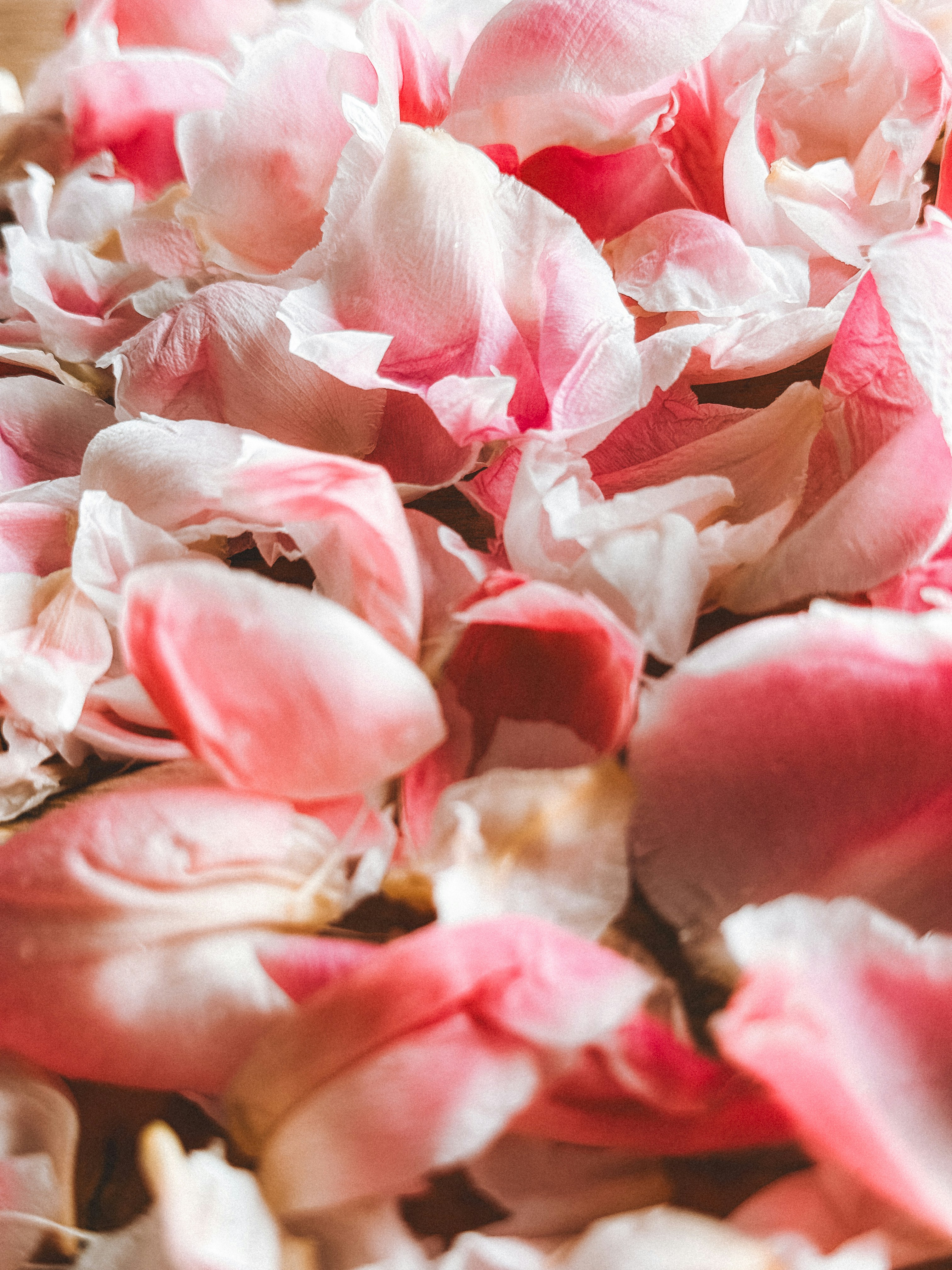 Photo by zvada_photo