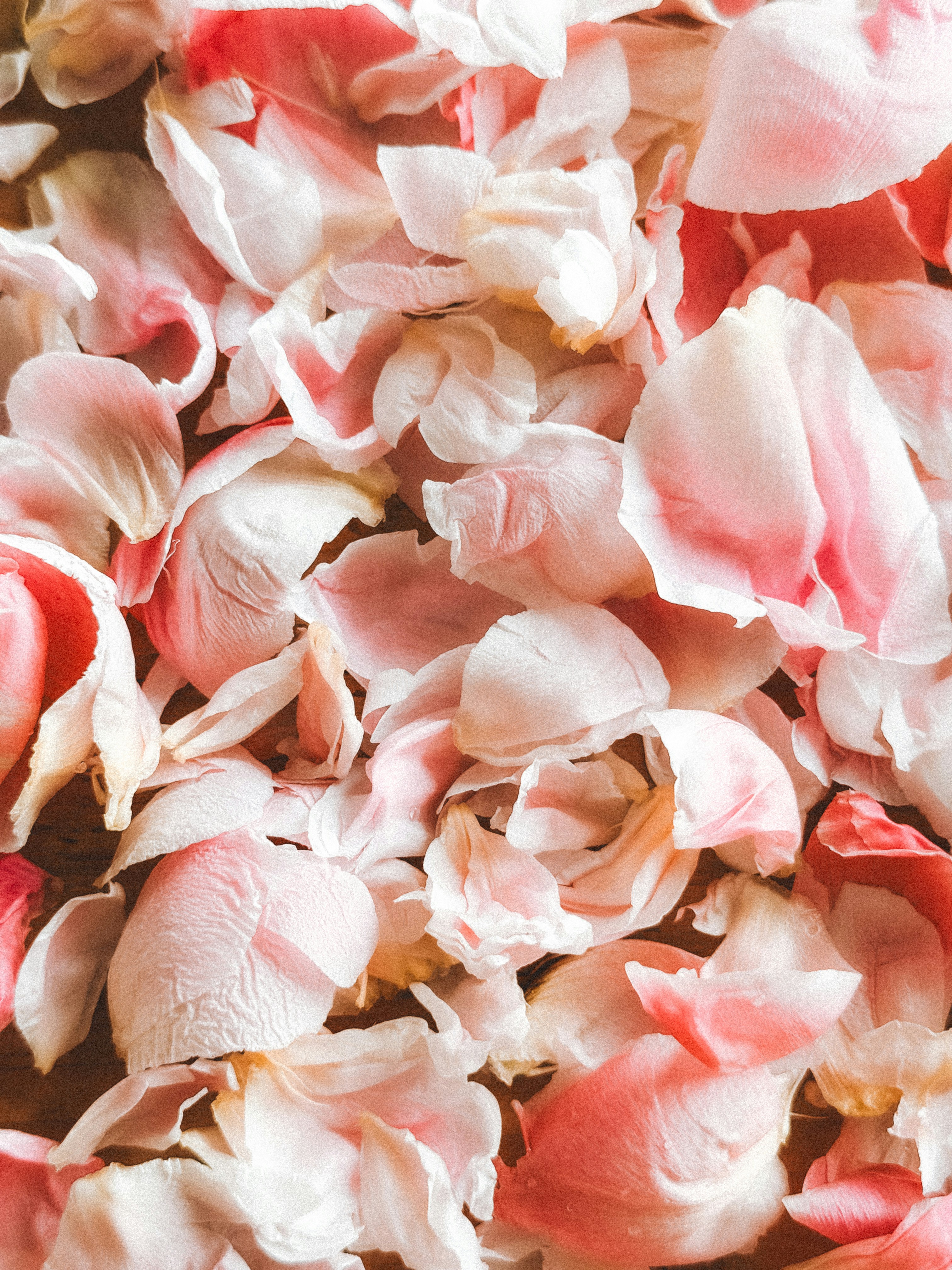 Photo by zvada_photo