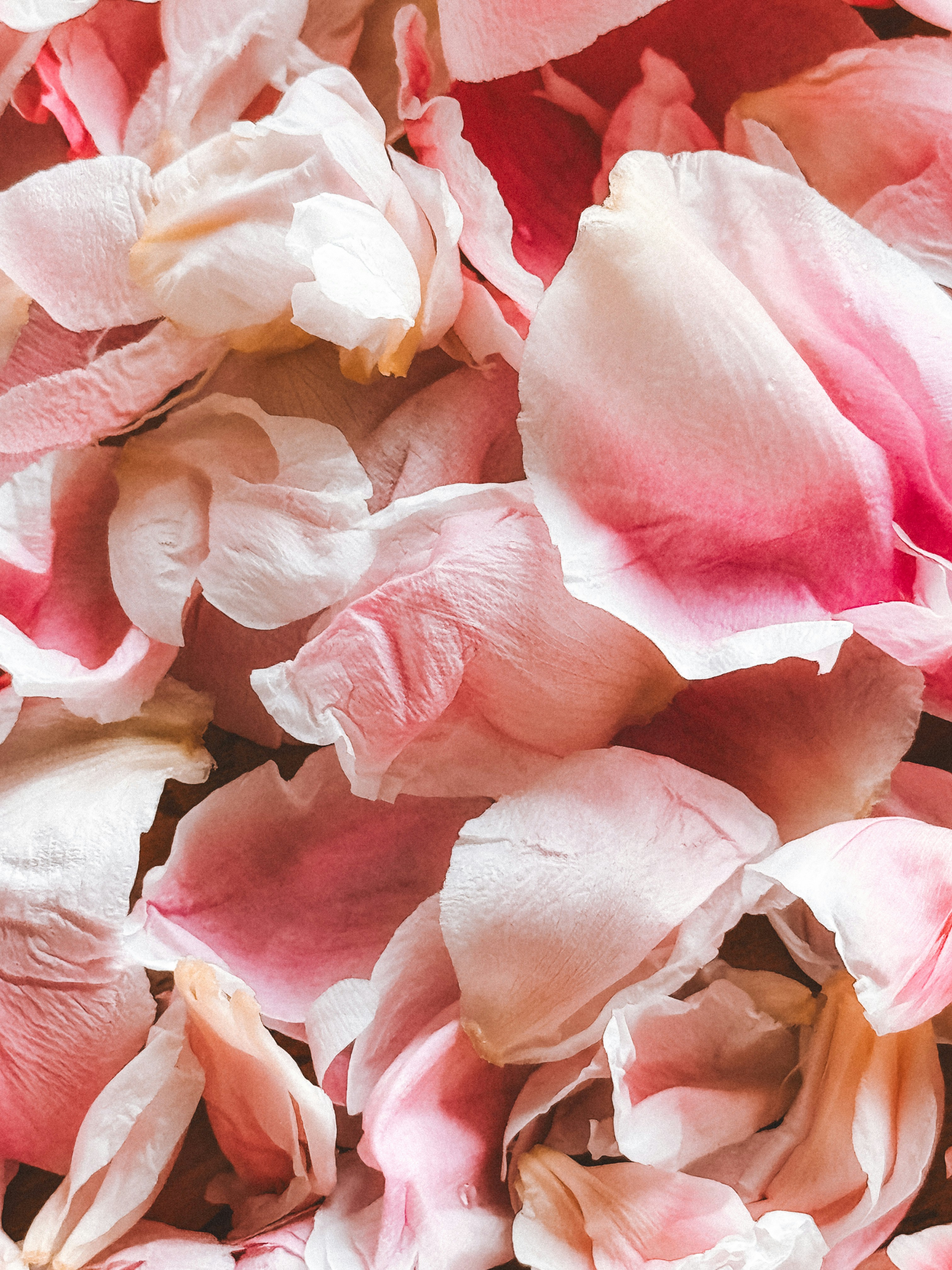 Photo by zvada_photo