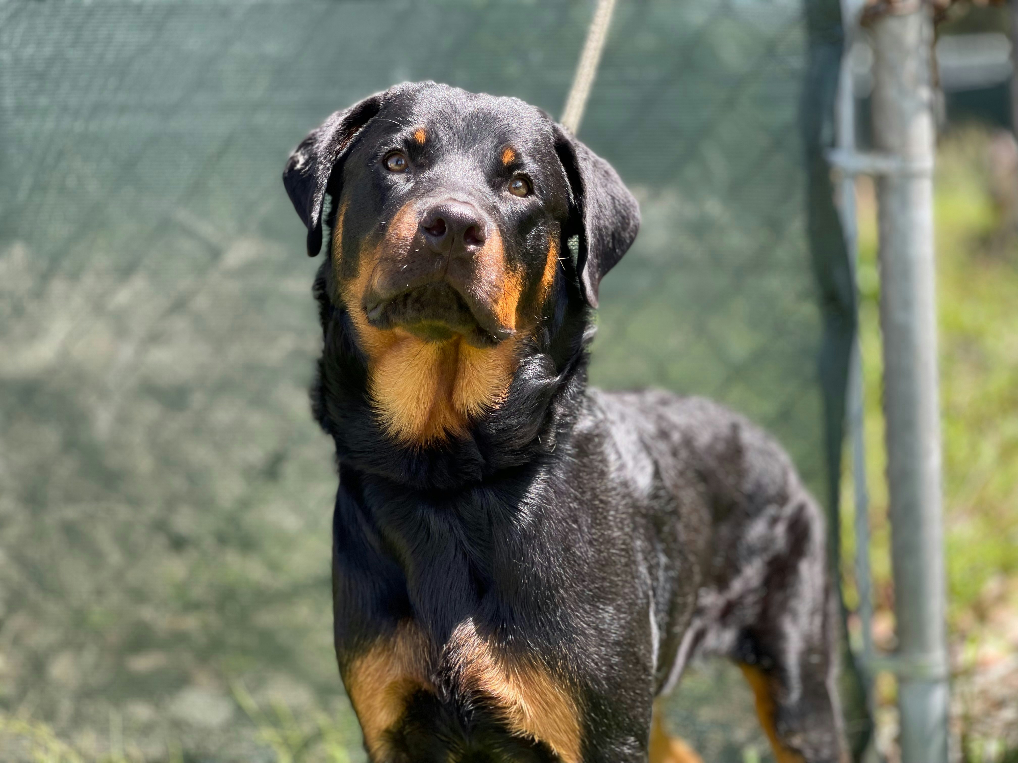 Photo by alexnetomiami