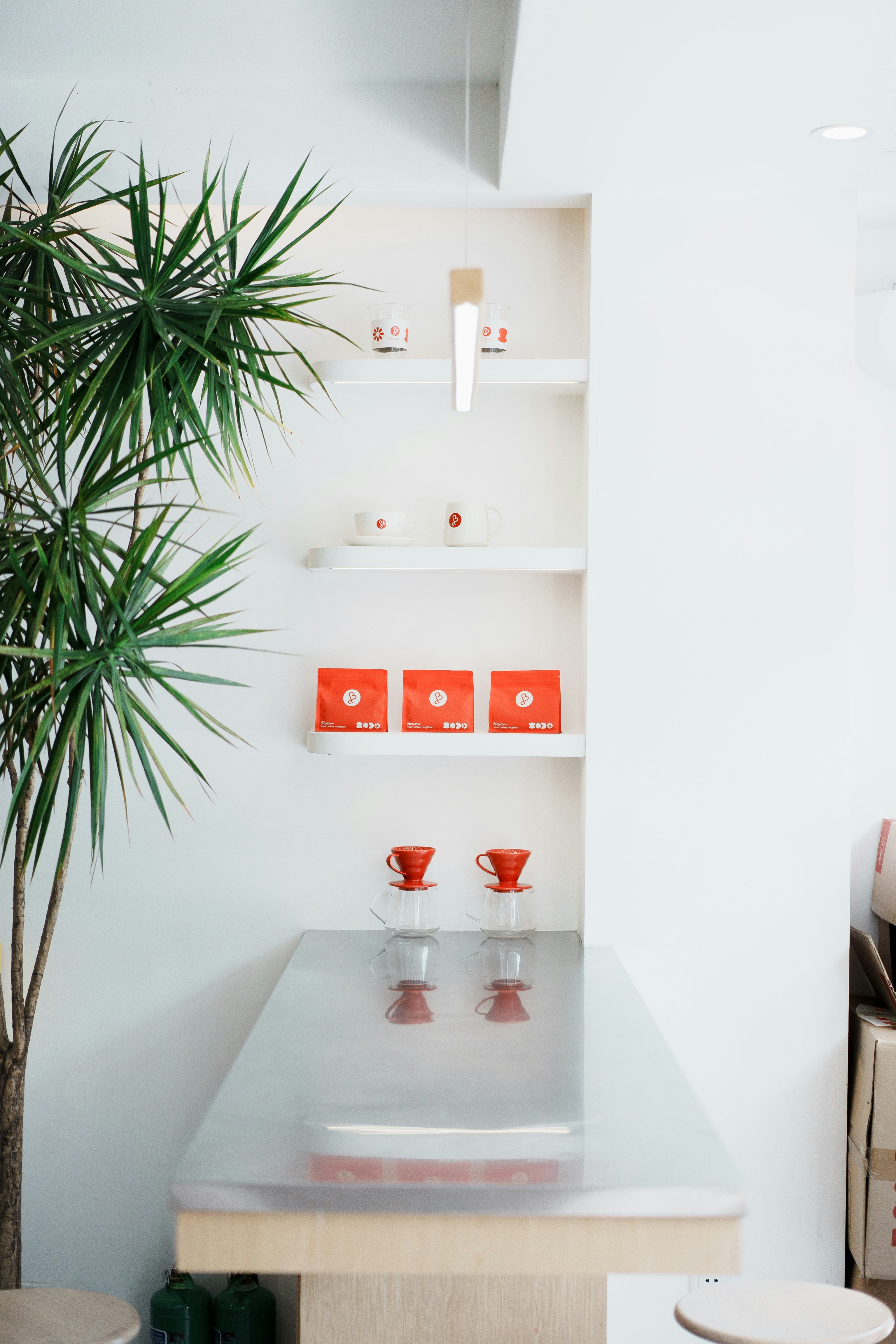 Photo by fanfandyuen