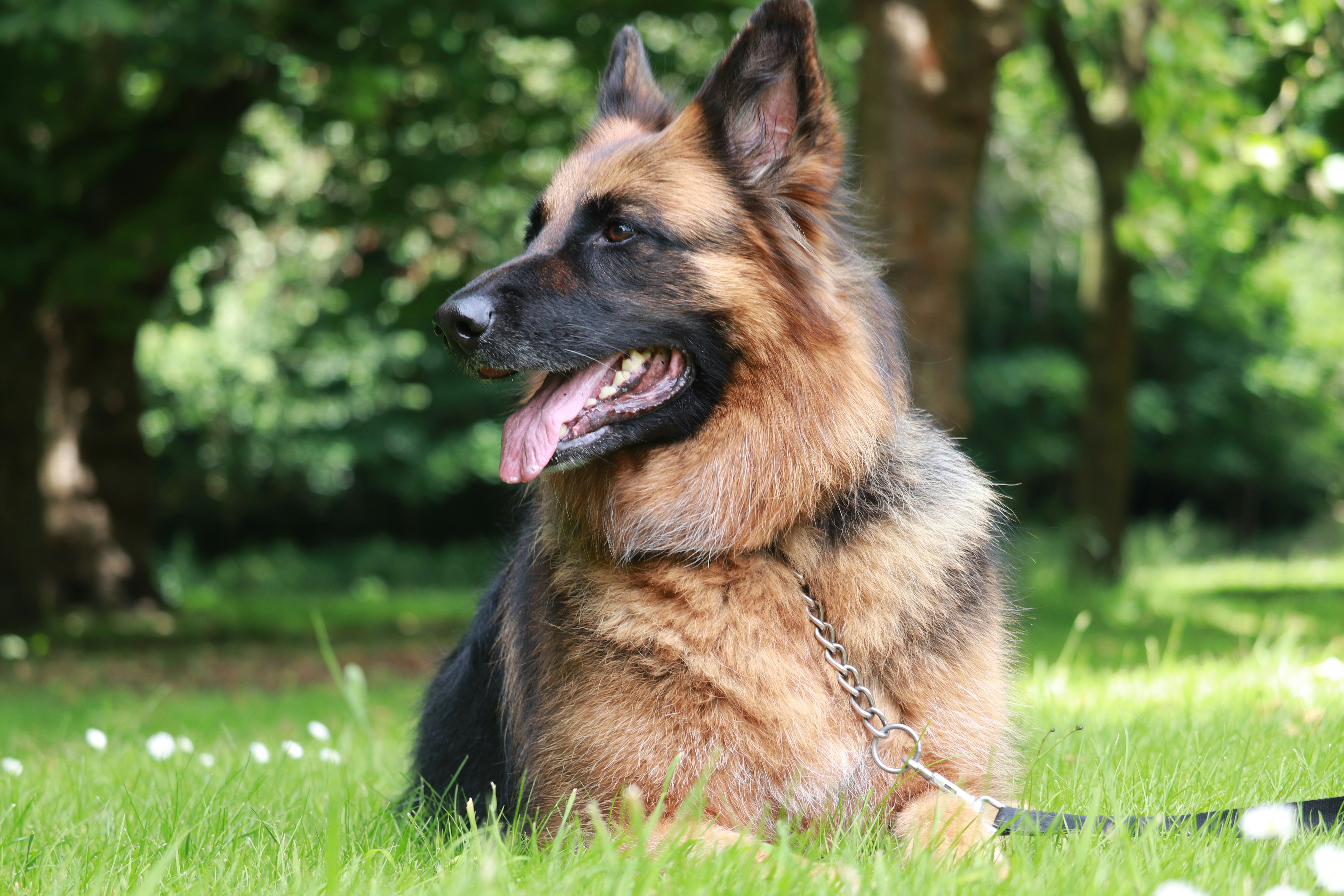 Photo by dhruv_padaliya