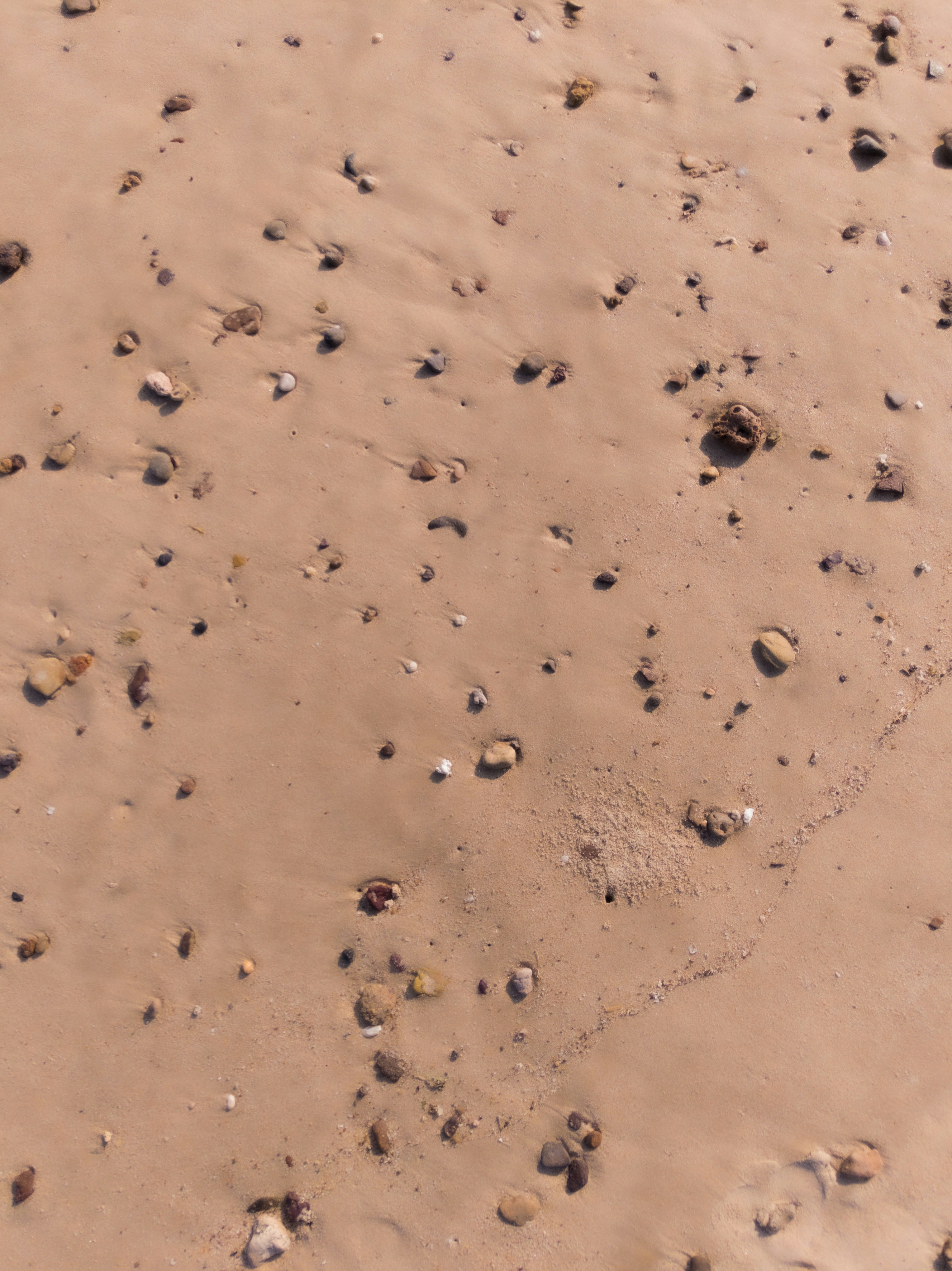 Photo by aayush_shah