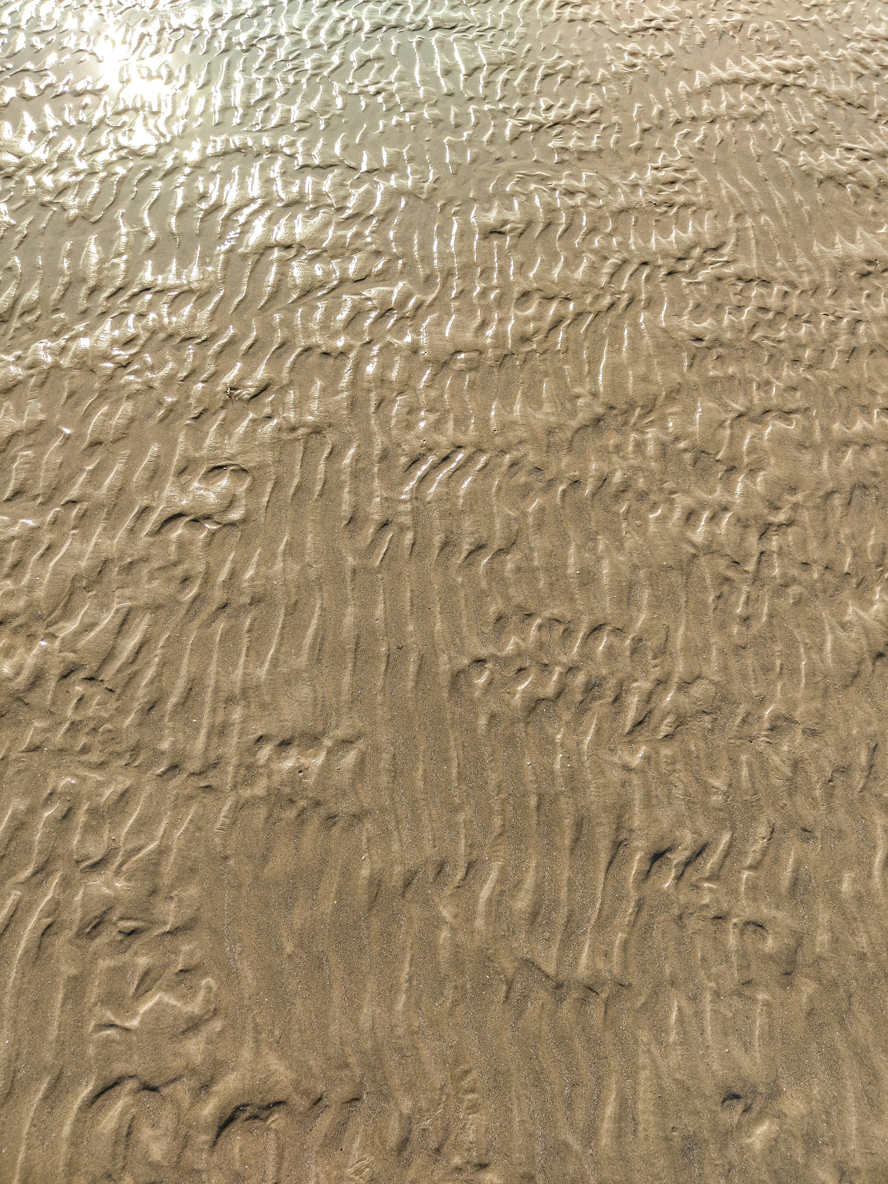 Photo by aayush_shah