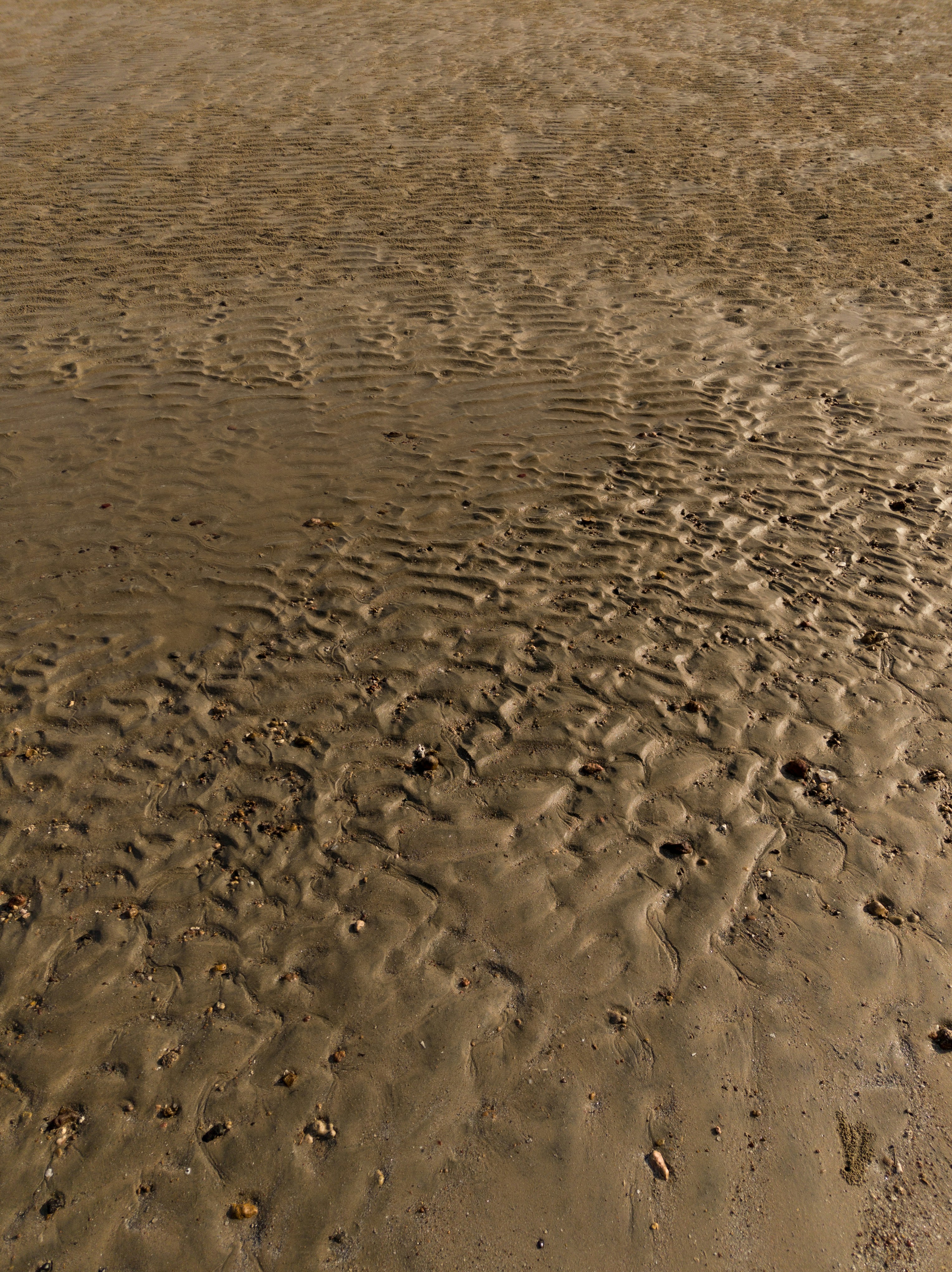 Photo by aayush_shah