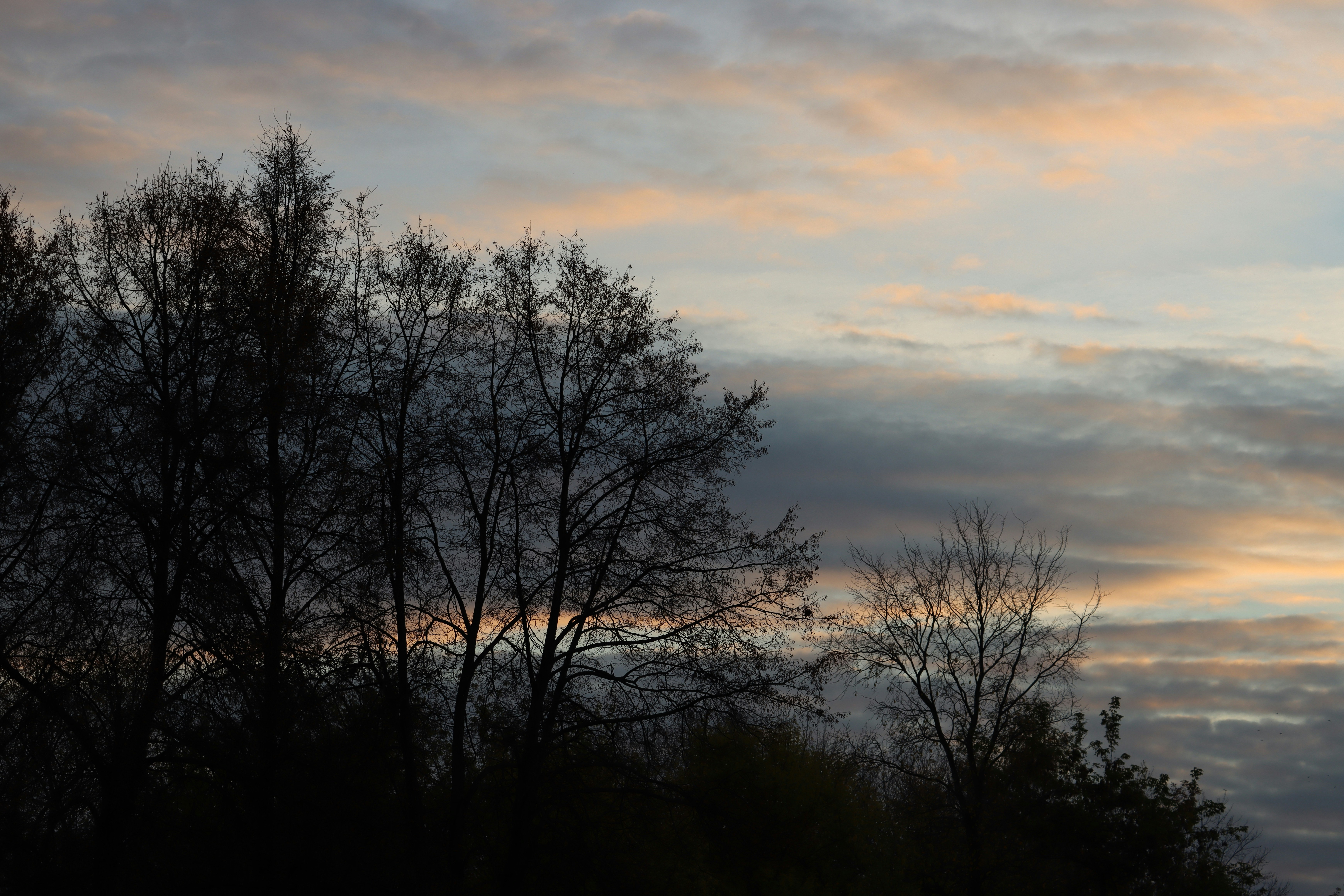 Photo by irina_chishkova