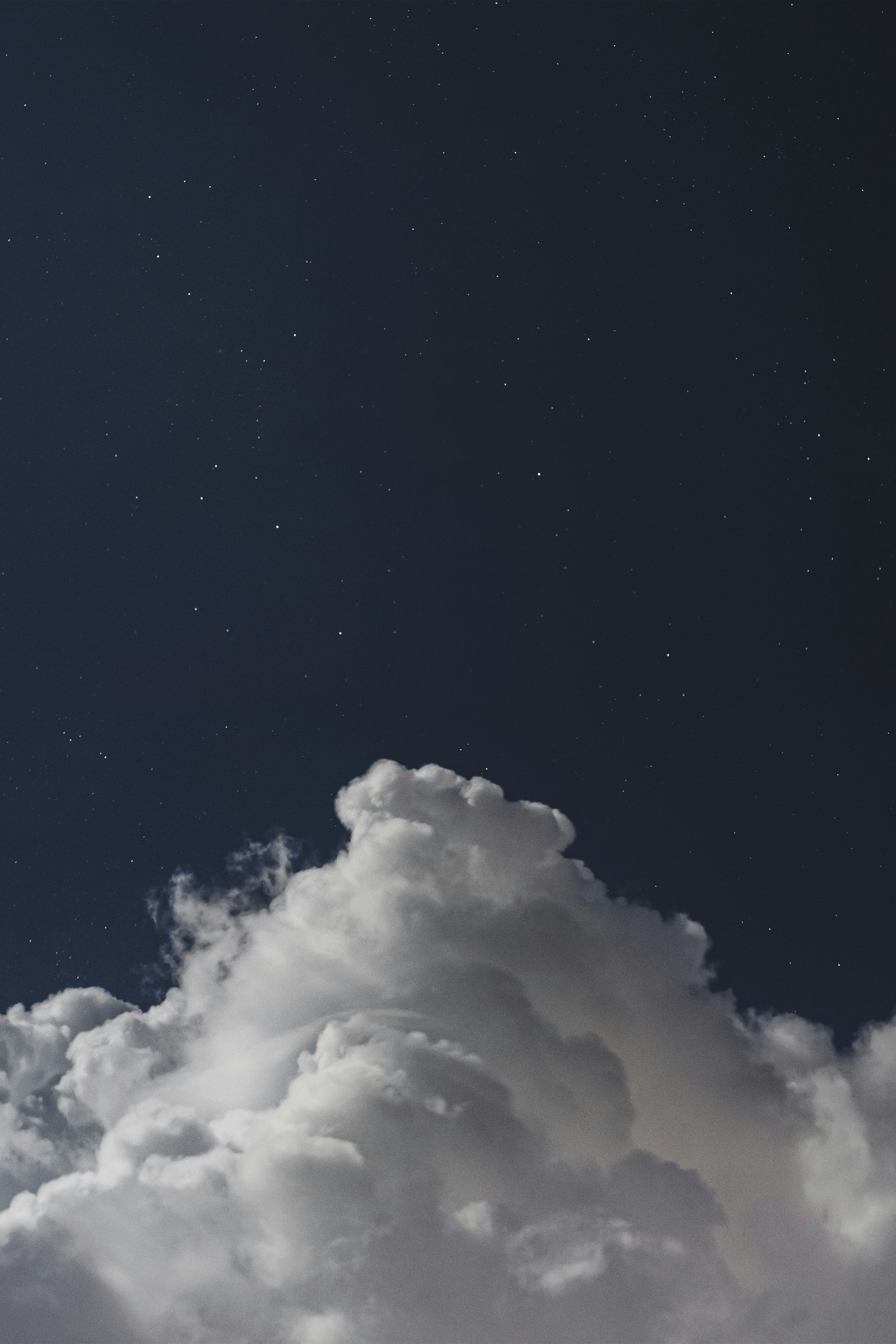 Photo by david_docil