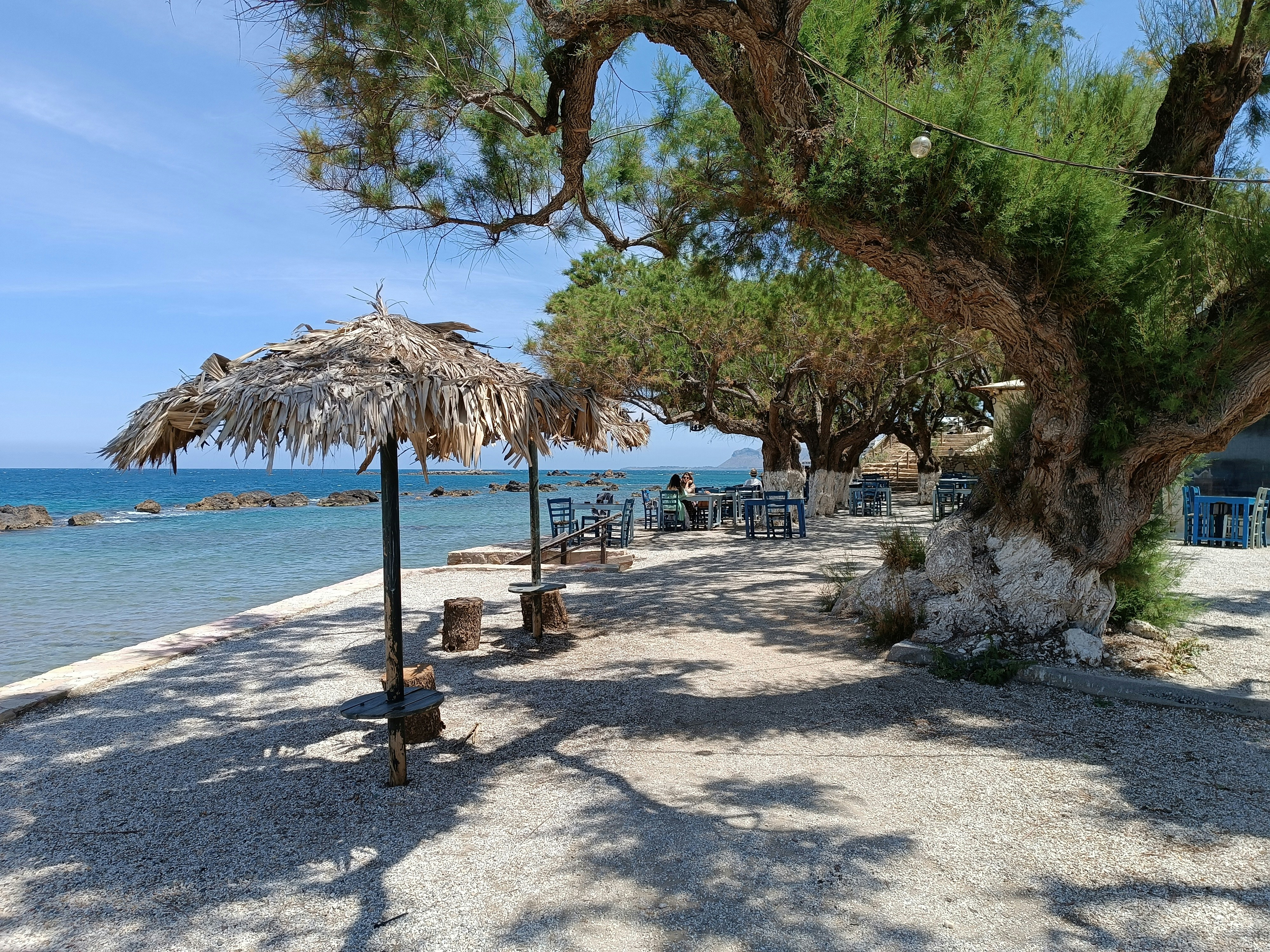 Photo by oxganggreen