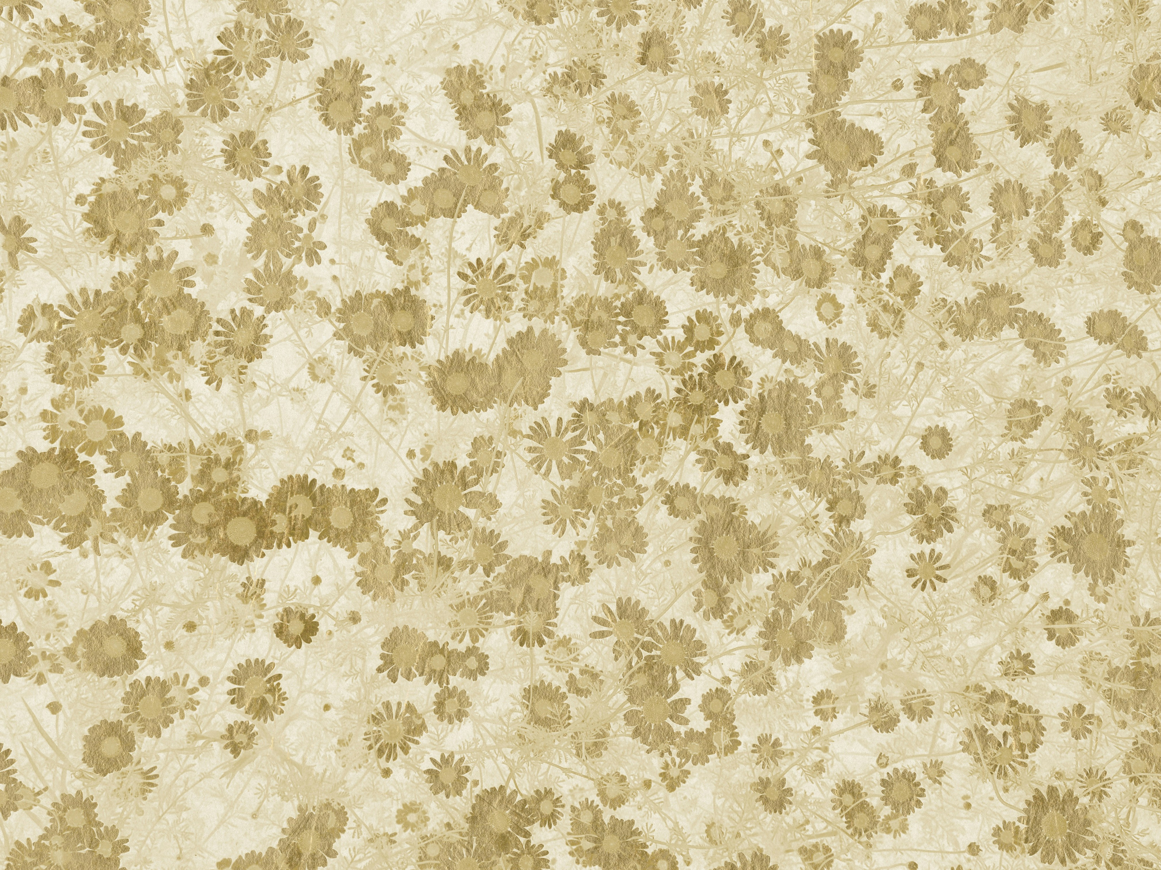 4세대 실비 보험료 인상의 원인 및 할증 기준에 대한 가이드