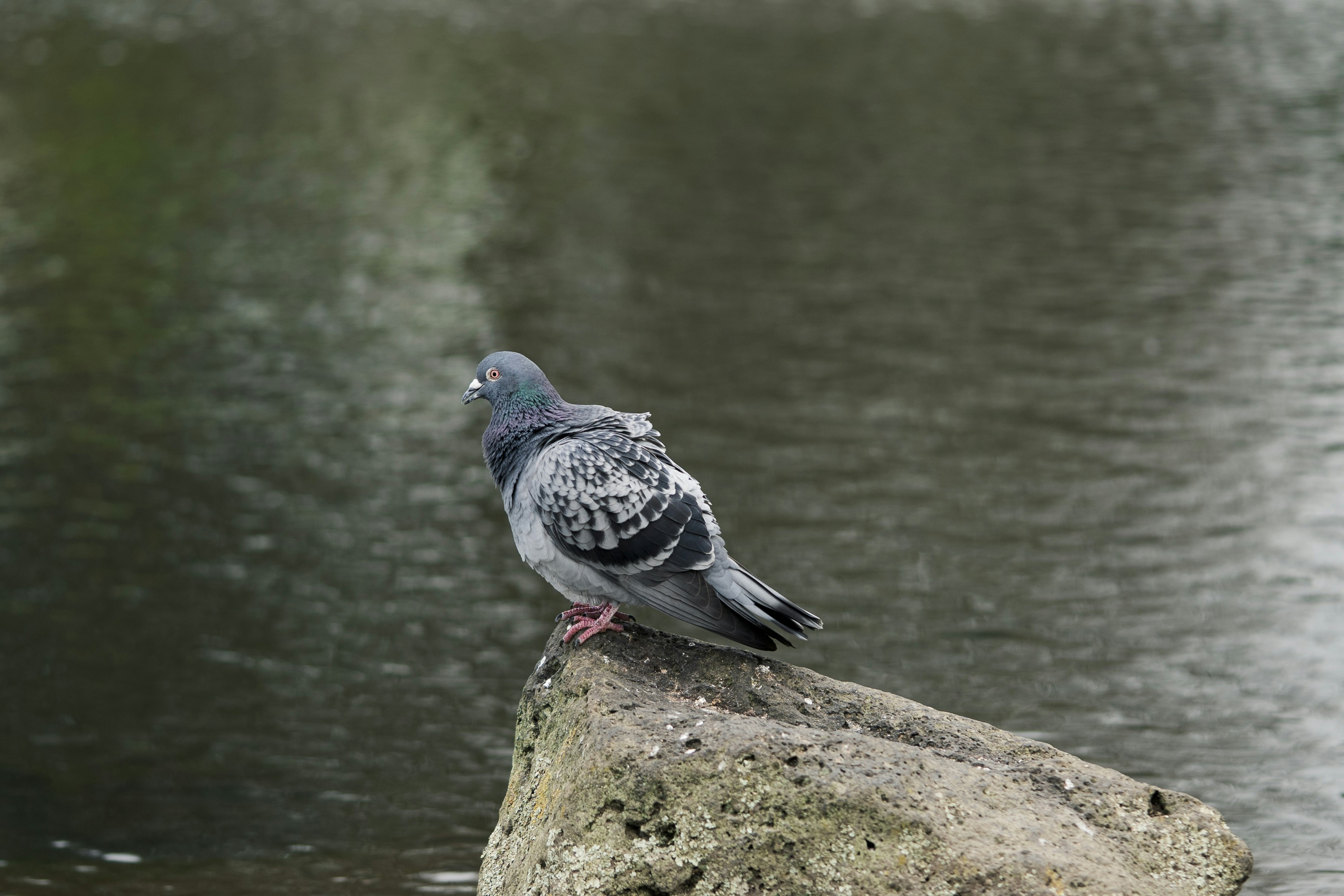 Photo by countingframez