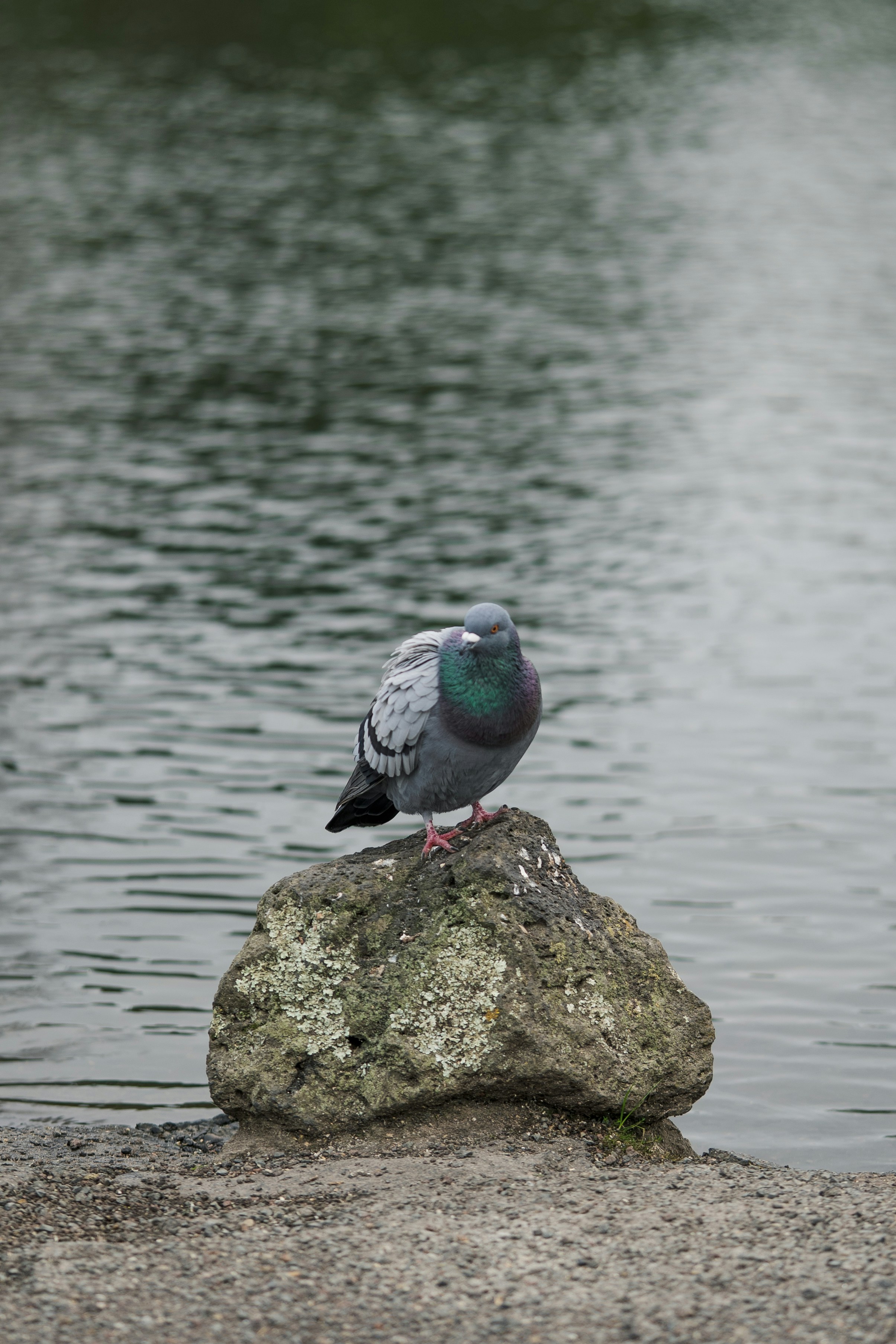 Photo by countingframez