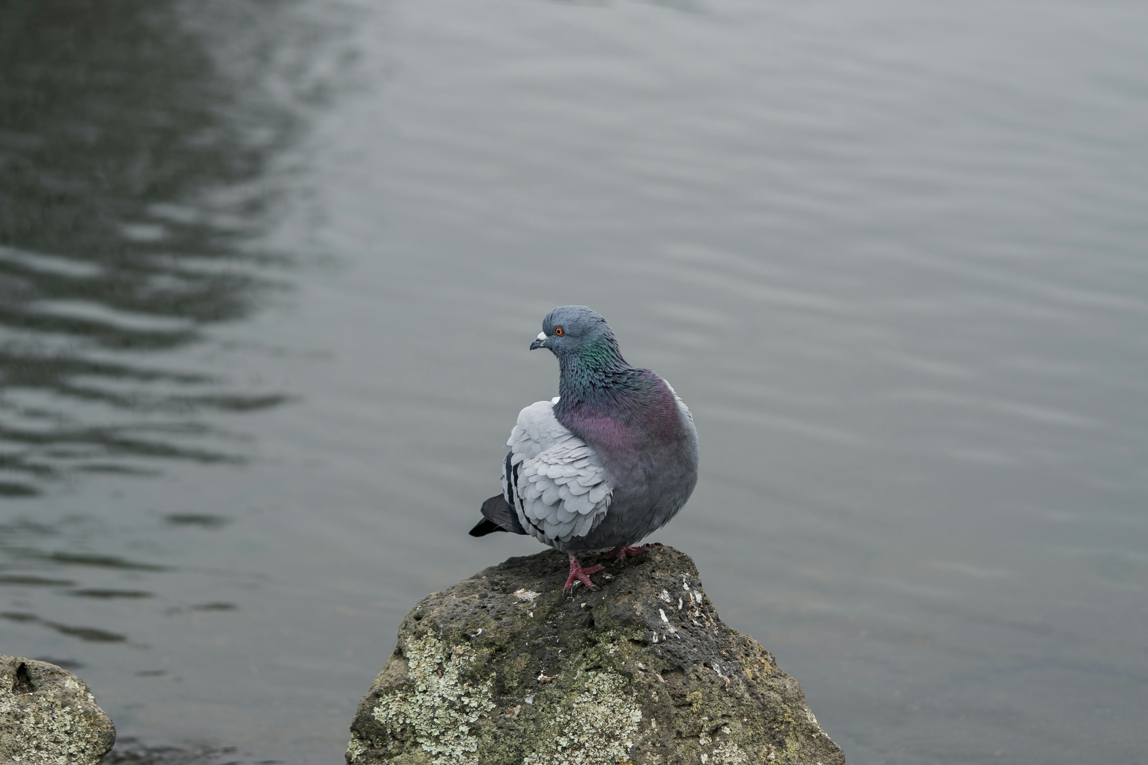 Photo by countingframez